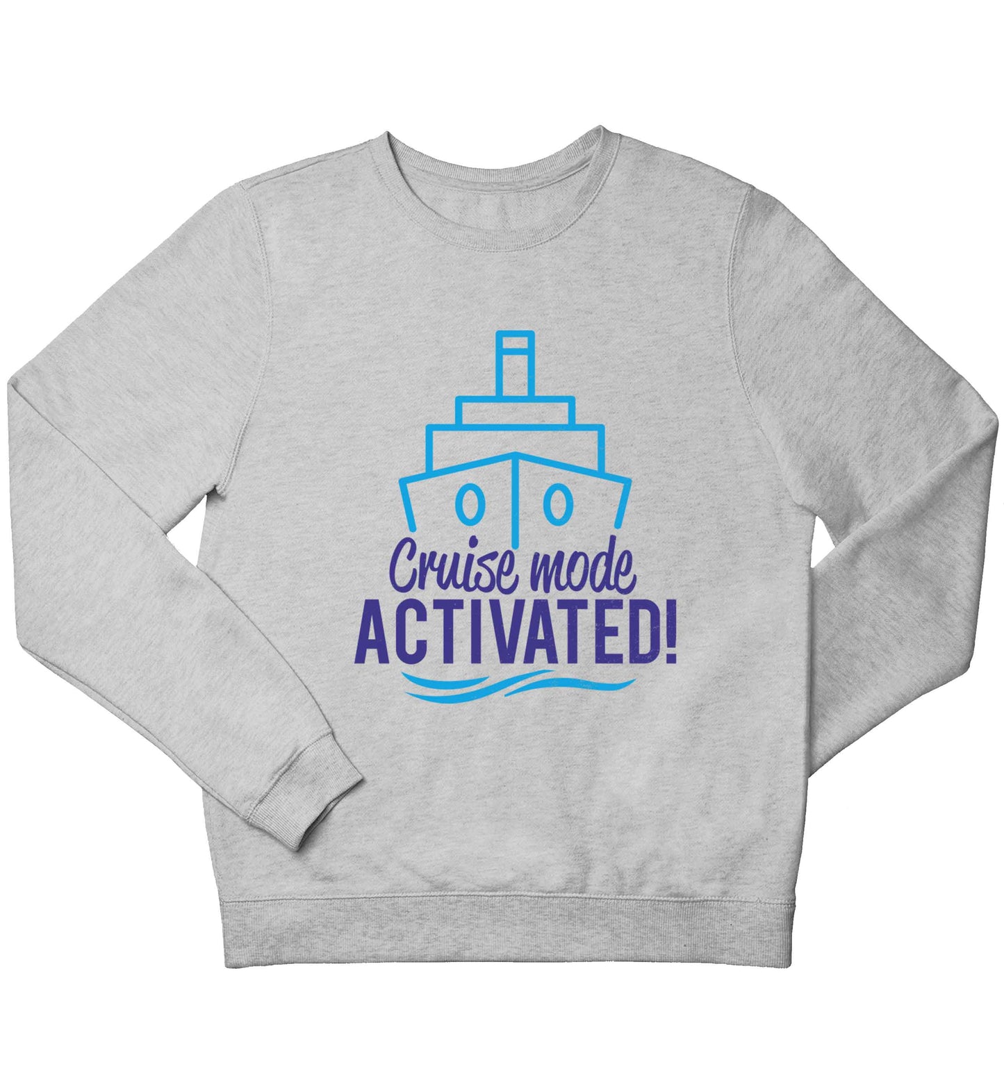 Cruise mode activated children's grey sweater 12-13 Years