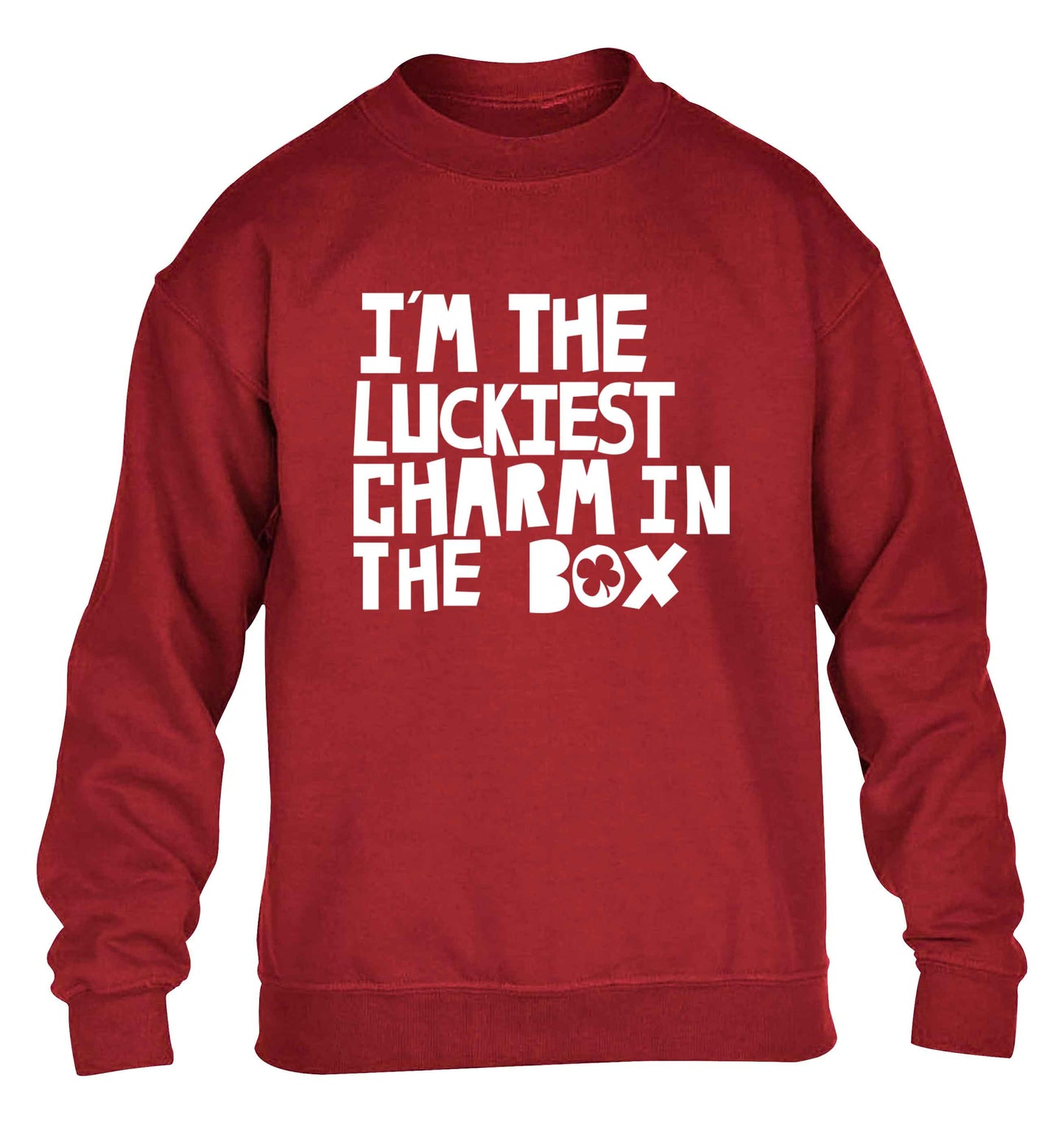 I'm the luckiest charm in the box children's grey sweater 12-13 Years