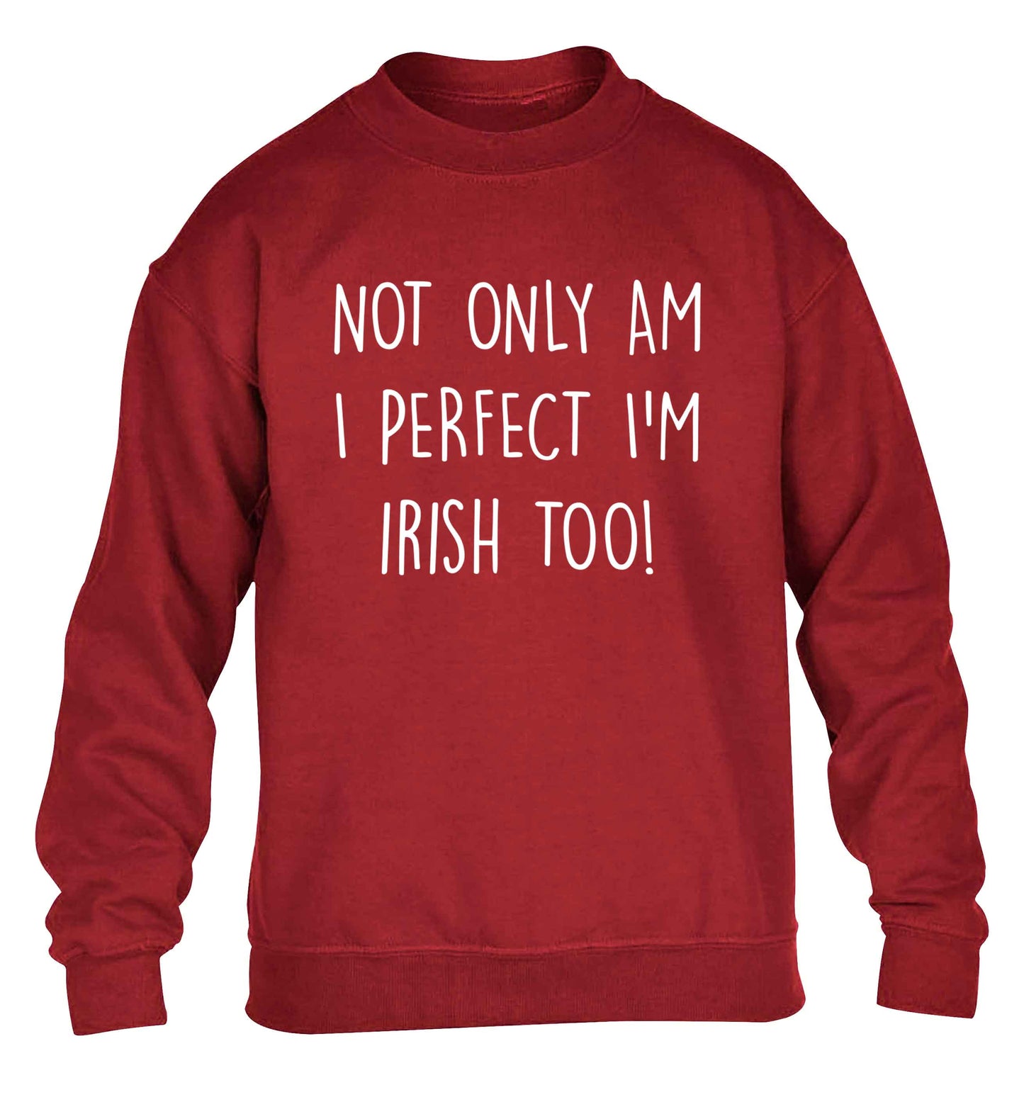 Not only am I perfect I'm Irish too! children's grey sweater 12-13 Years