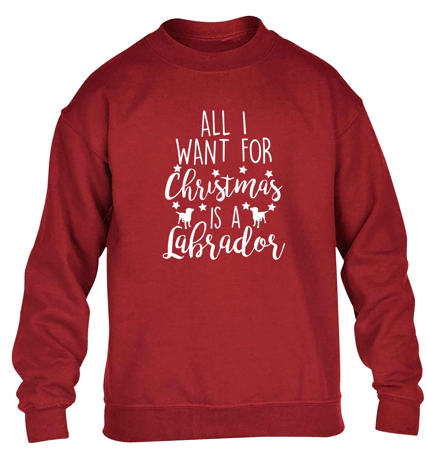 All I want for Christmas is a labrador children's grey sweater 12-13 Years