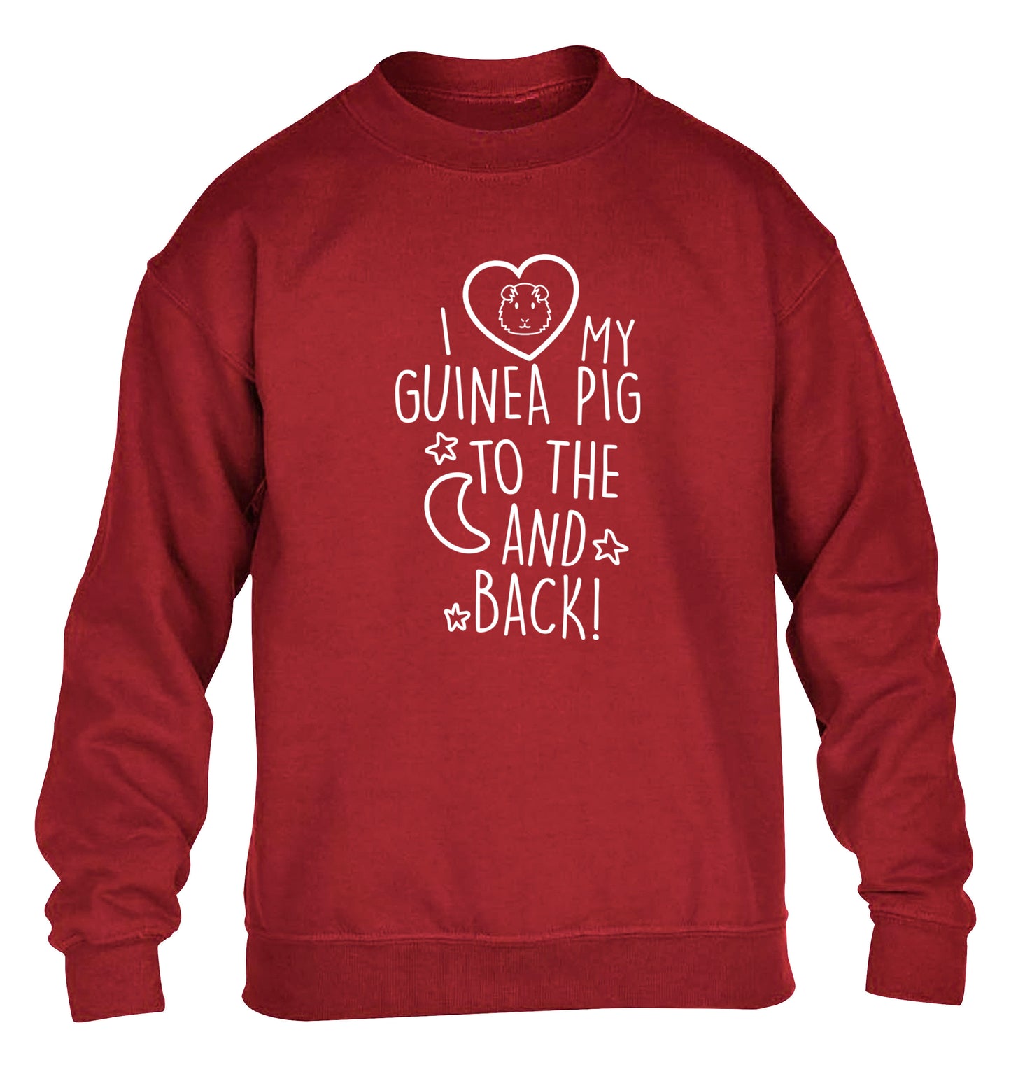I love my guinea pig to the moon and back children's grey sweater 12-14 Years