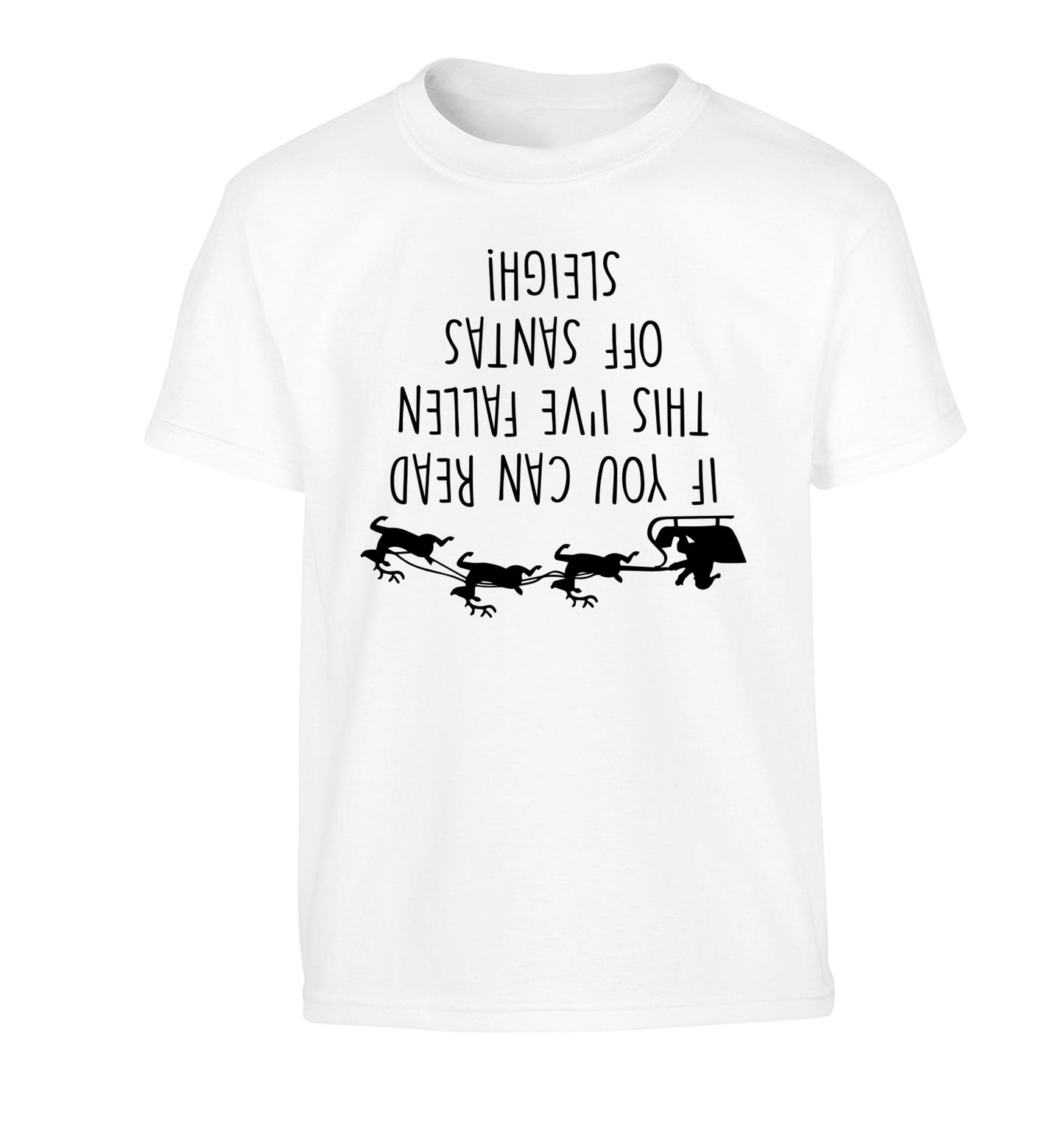 If you can read this I've fallen of santa's sleigh! Children's white Tshirt 12-14 Years