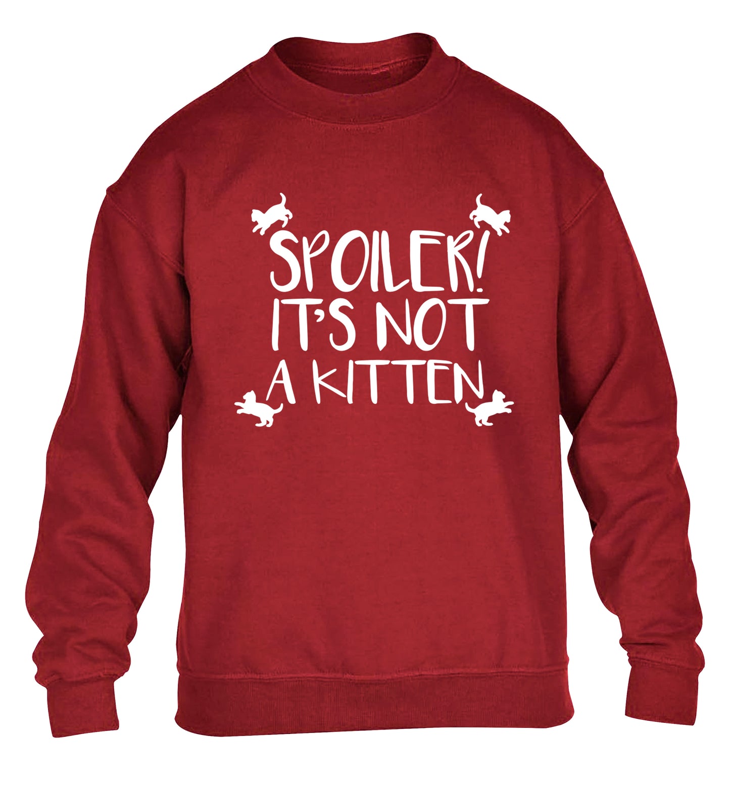 Spoiler it's not a kitten children's grey sweater 12-13 Years