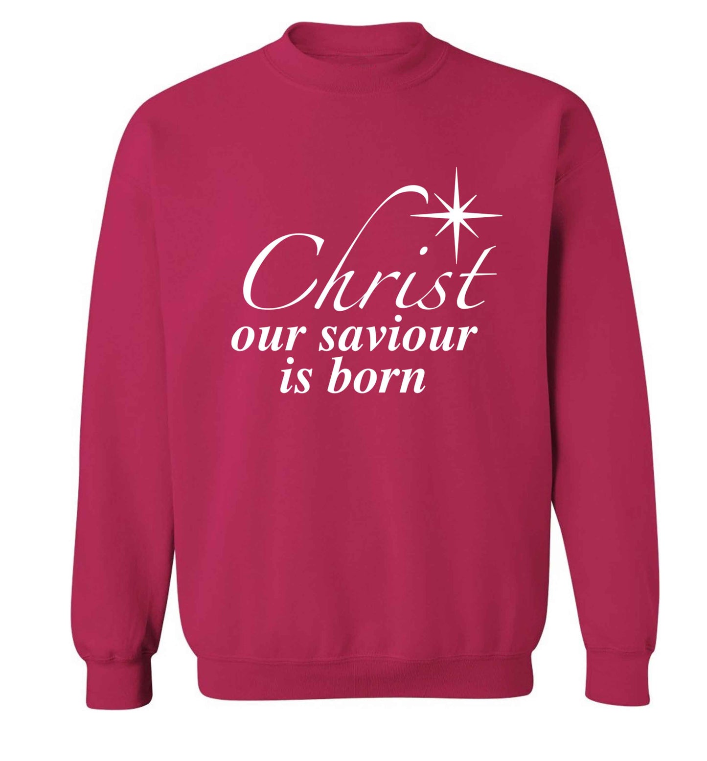 Christ our saviour is born Adult's unisex pink Sweater 2XL