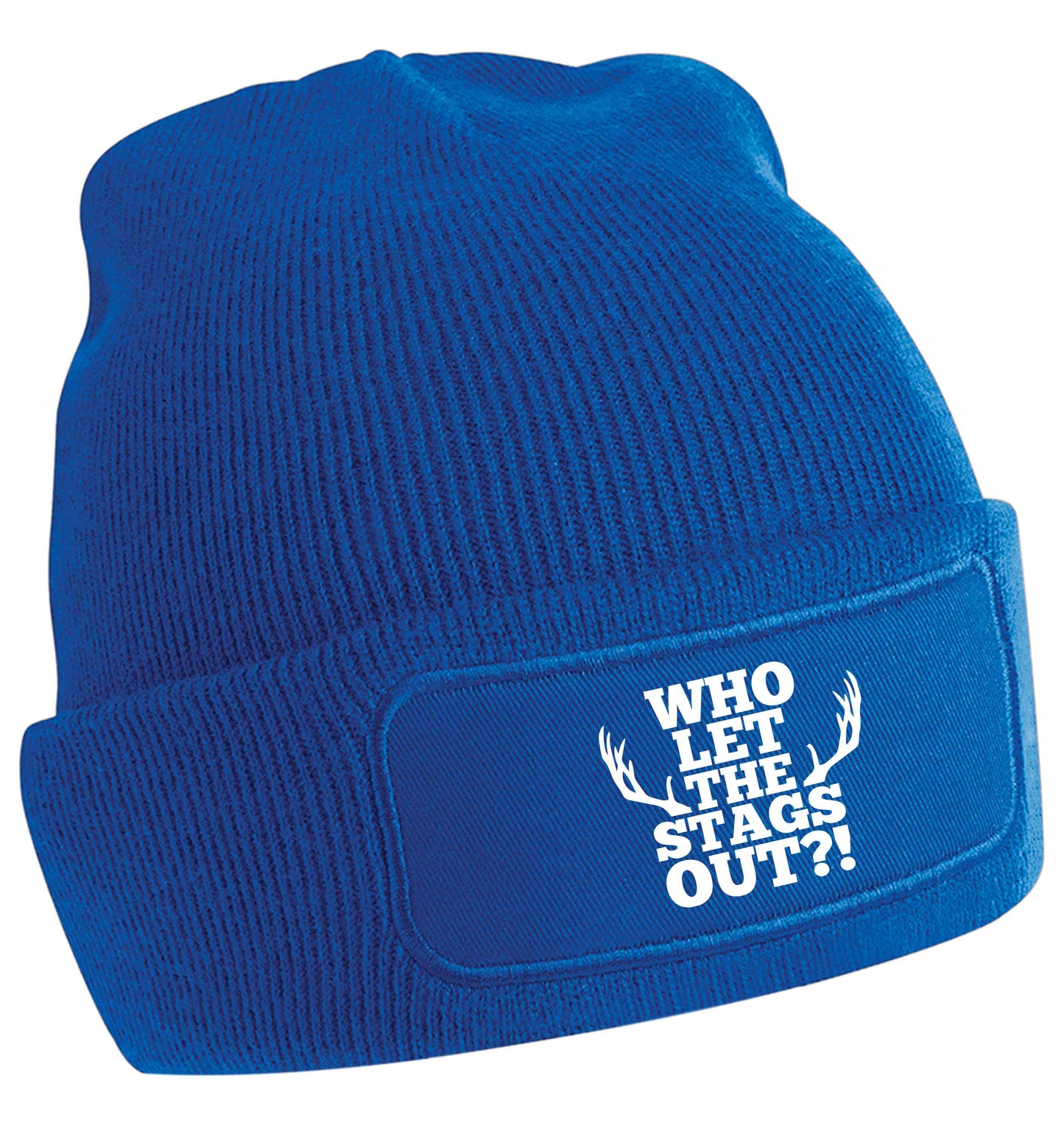 Who let the stags out | Beanie hat