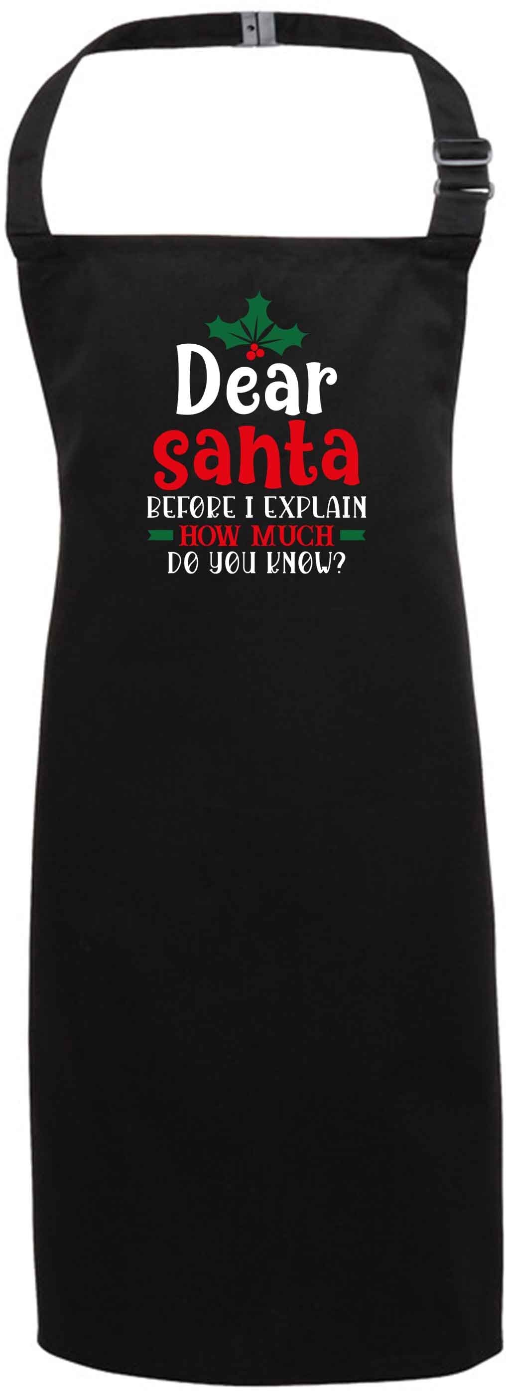 Santa before I explain how much do you know? black apron 7-10 years