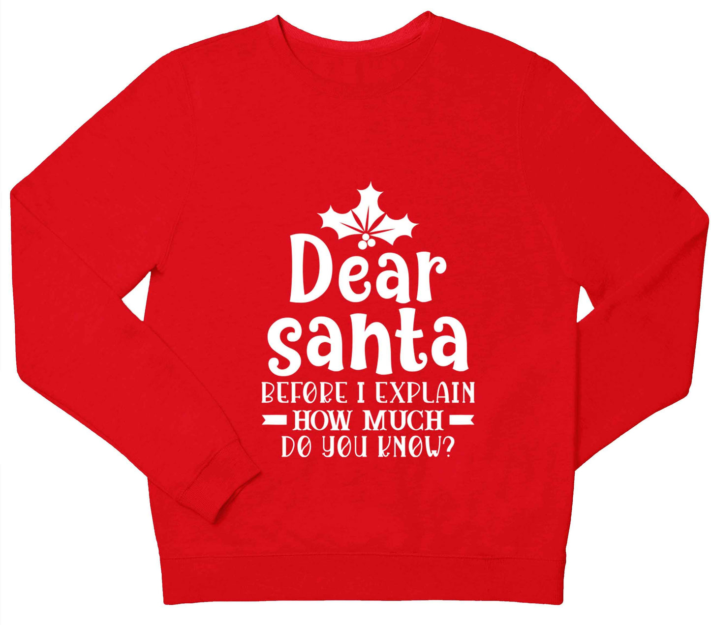 Santa before I explain how much do you know? children's grey sweater 12-13 Years