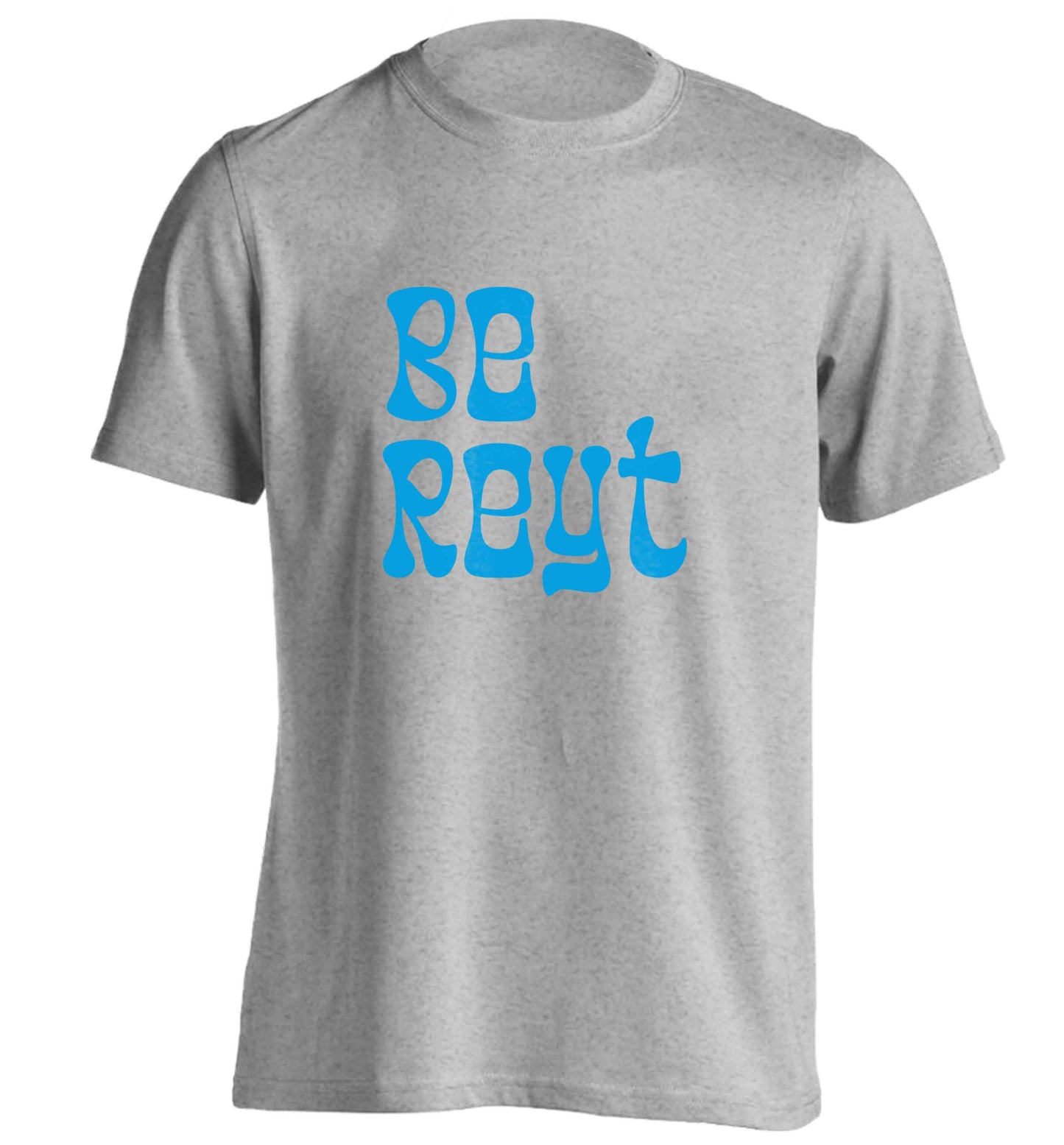 Be reyt adults unisex grey Tshirt 2XL