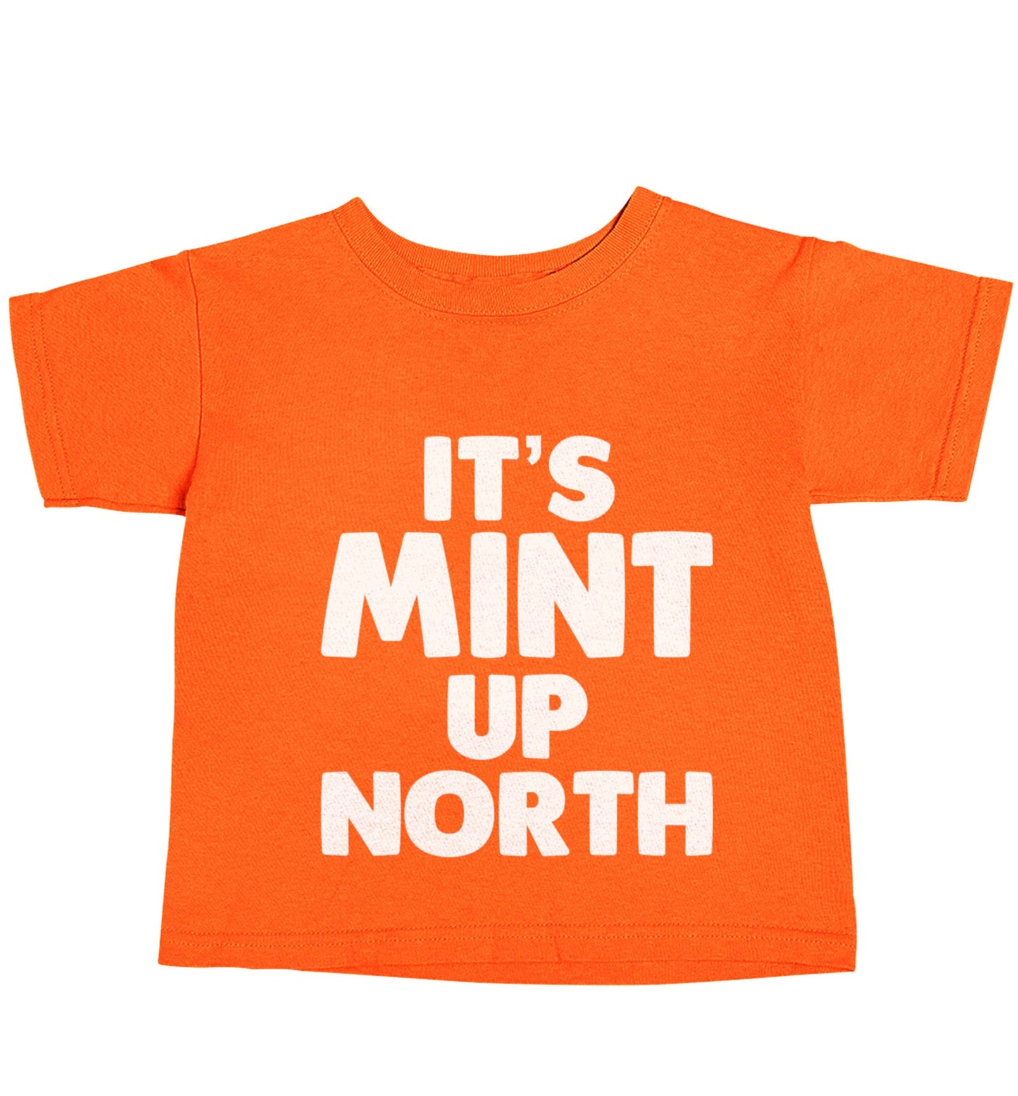 It's mint up North orange baby toddler Tshirt 2 Years