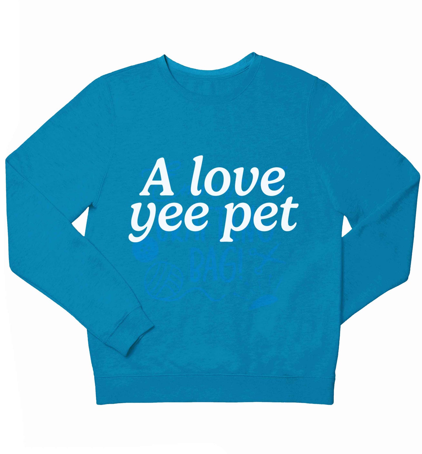 A love yee pet children's blue sweater 12-13 Years