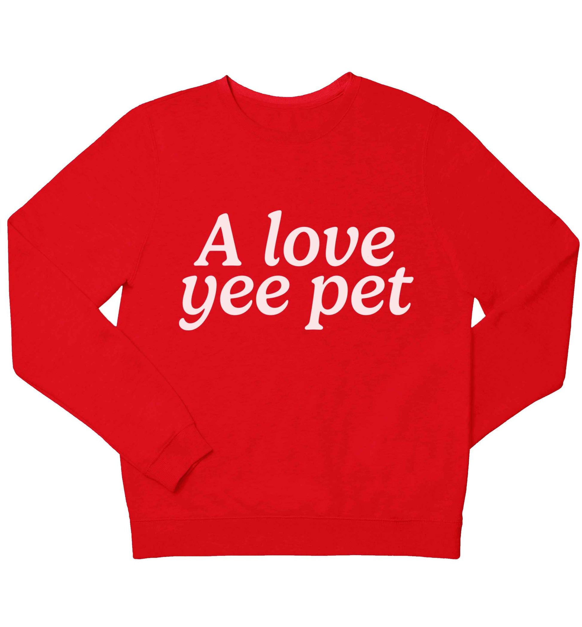 A love yee pet children's grey sweater 12-13 Years