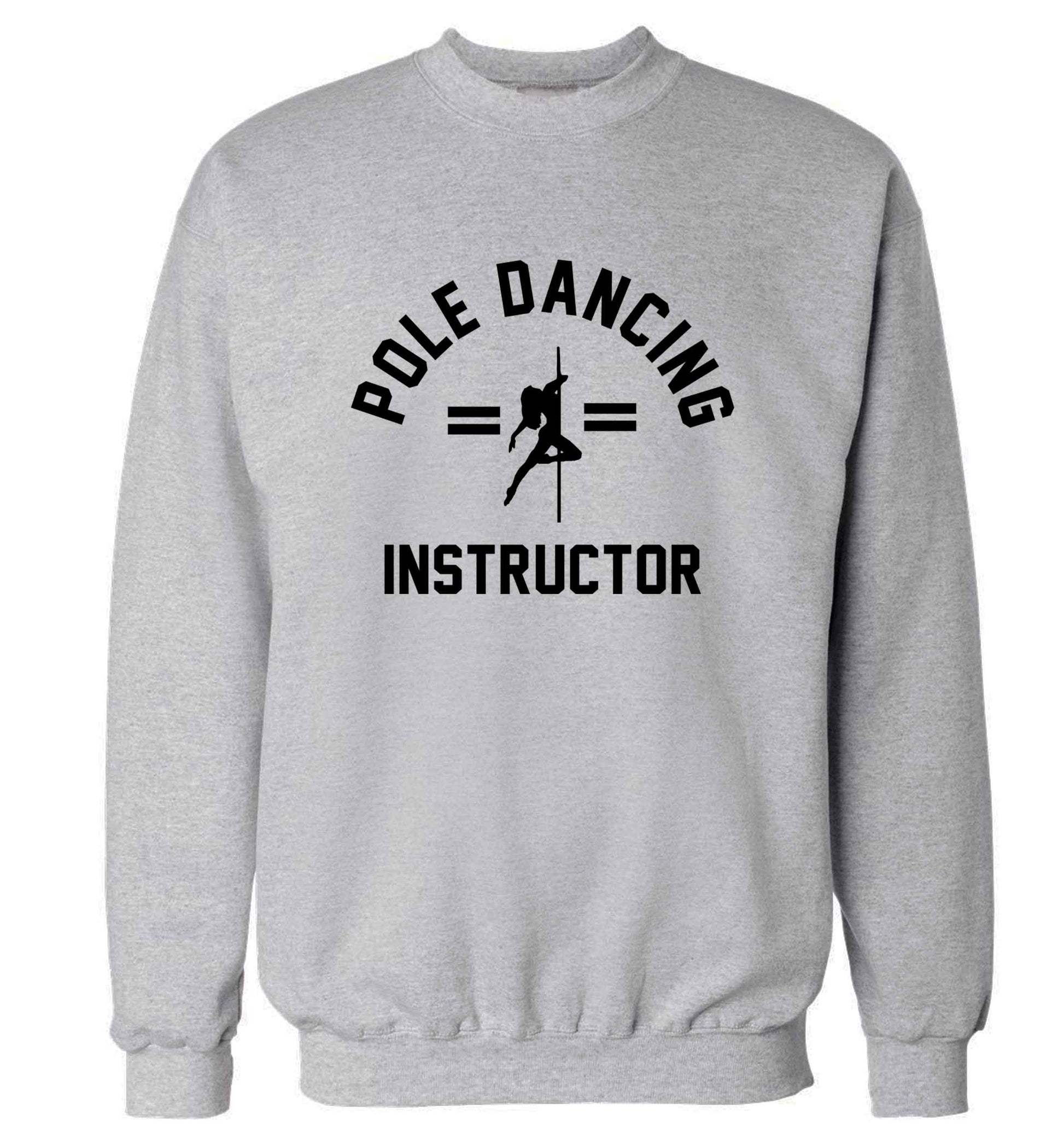 Pole dancing instructor adult's unisex grey sweater 2XL
