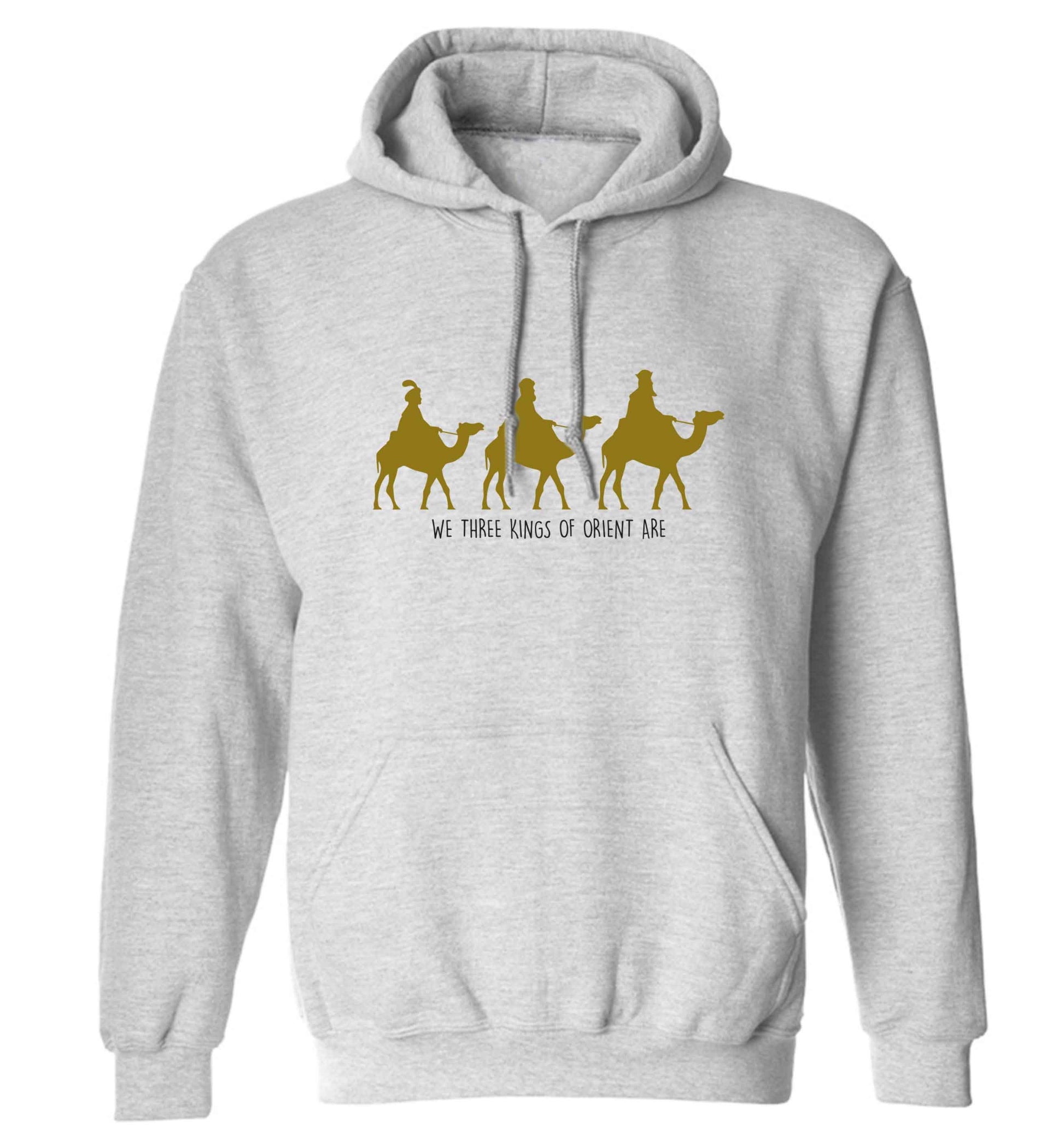We three kings of orient are adults unisex grey hoodie 2XL