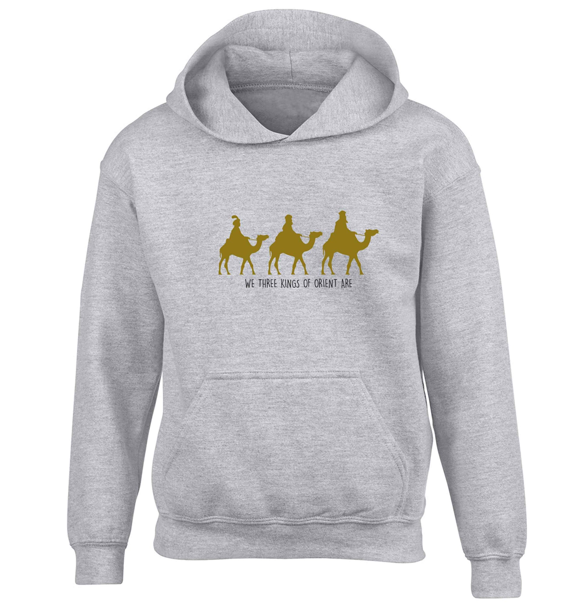 We three kings of orient are children's grey hoodie 12-13 Years
