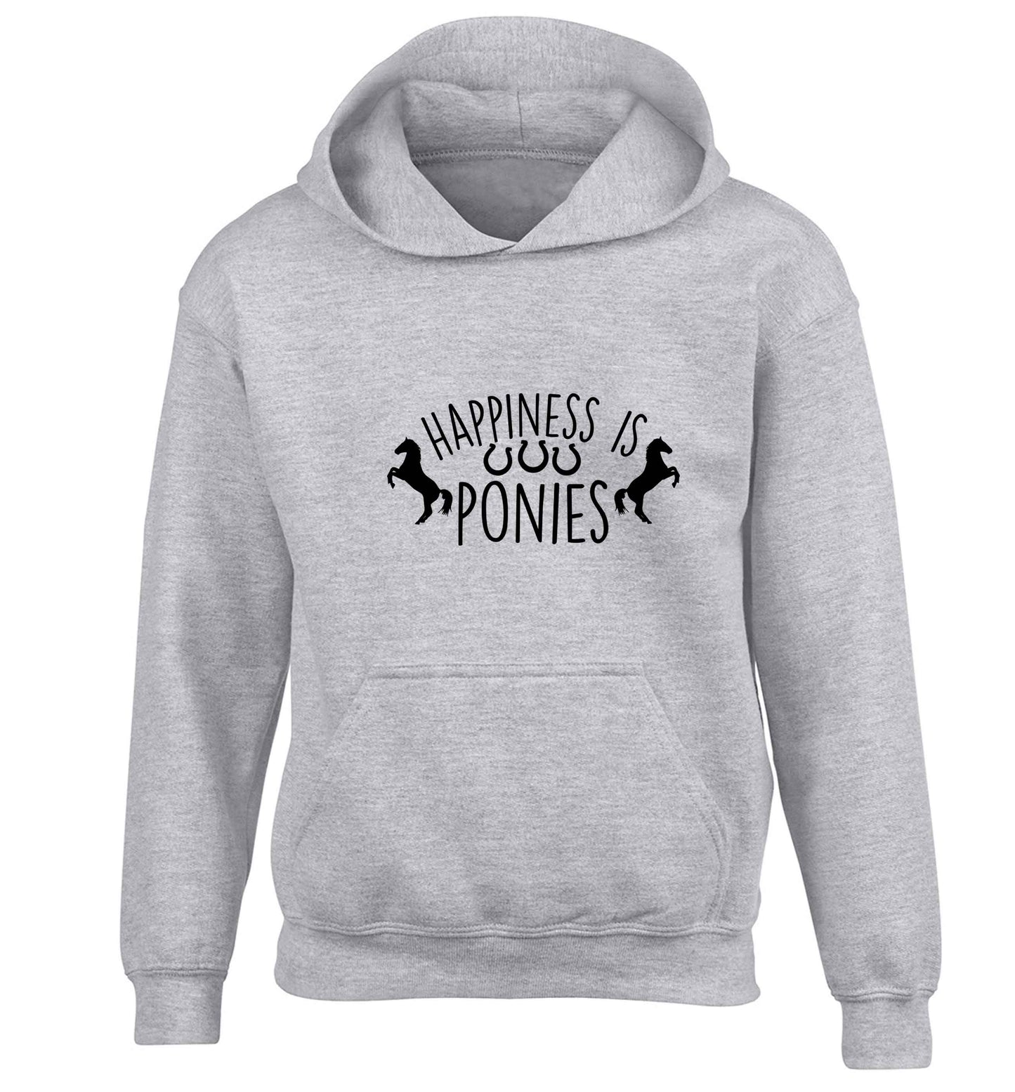Happiness is ponies children's grey hoodie 12-13 Years