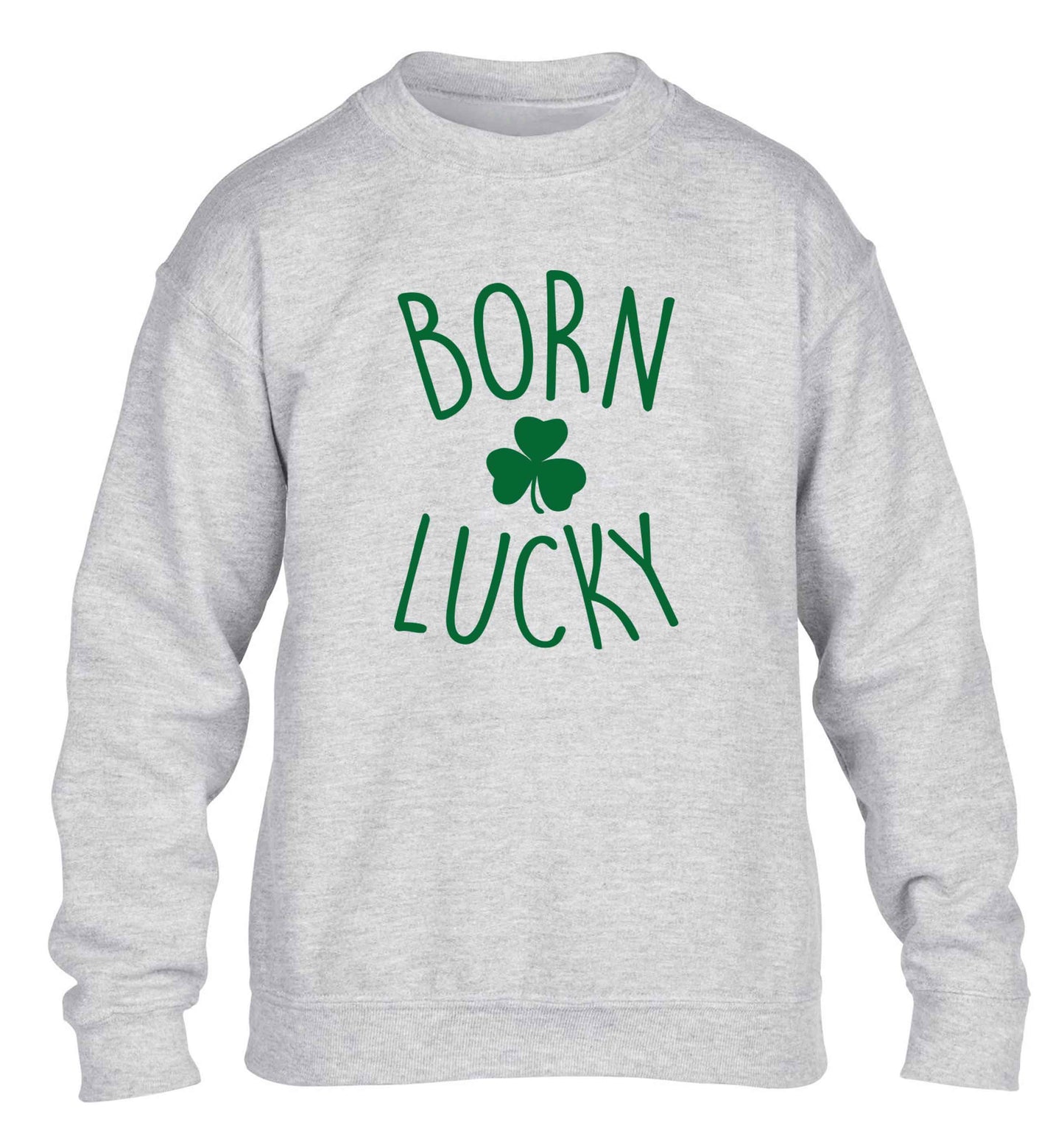 Born Lucky children's grey sweater 12-13 Years