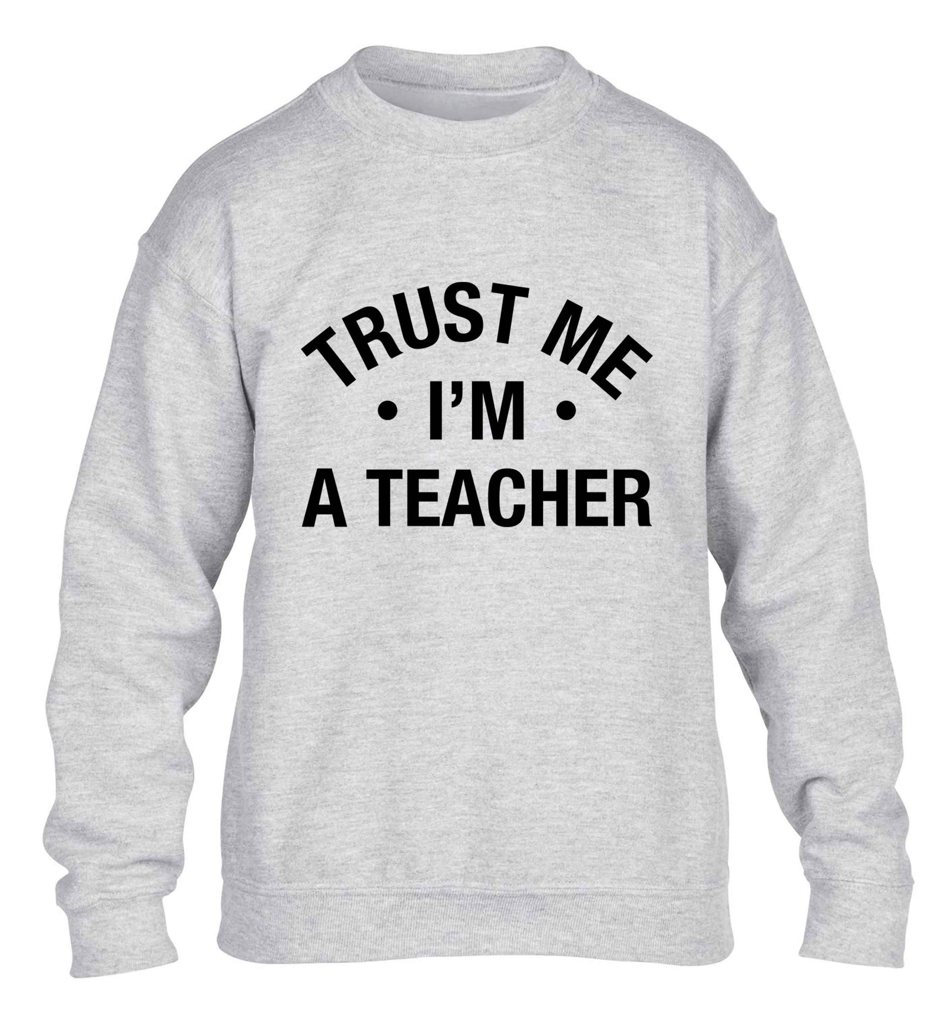 Trust me I'm a teacher children's grey sweater 12-13 Years