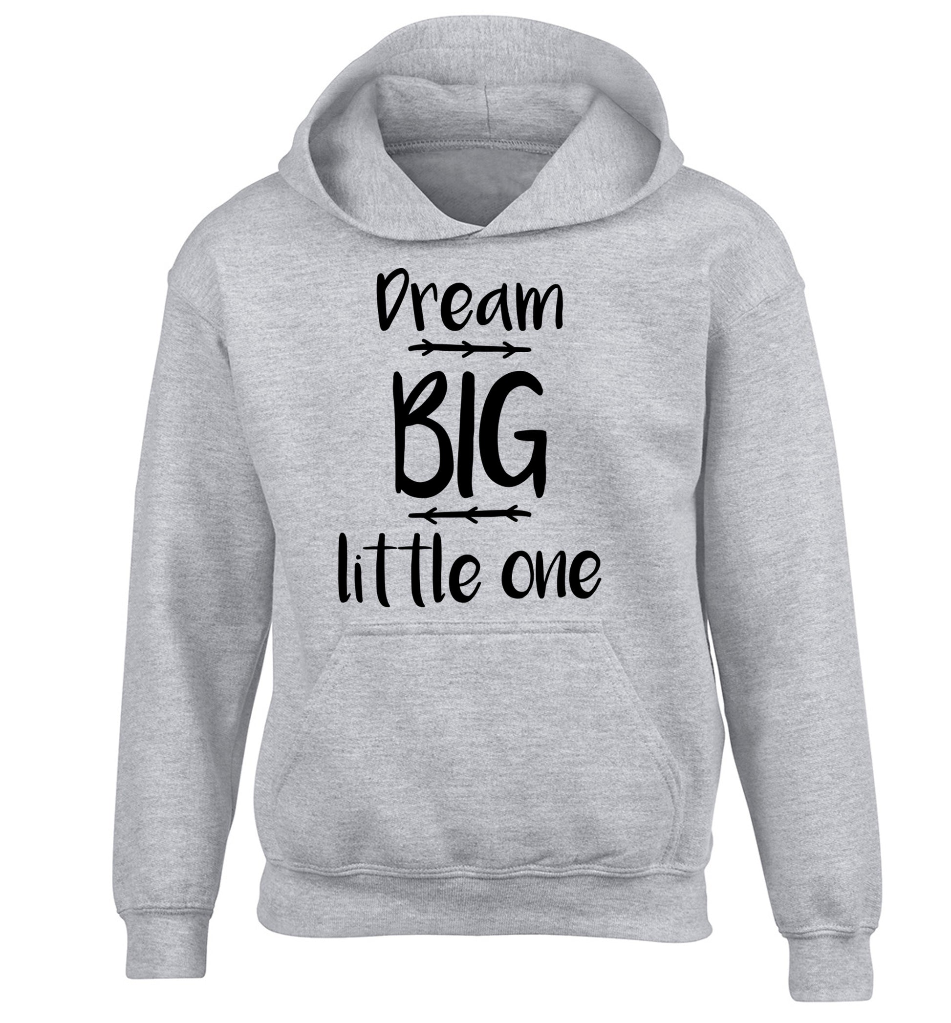 Dream big little one children's grey hoodie 12-14 Years