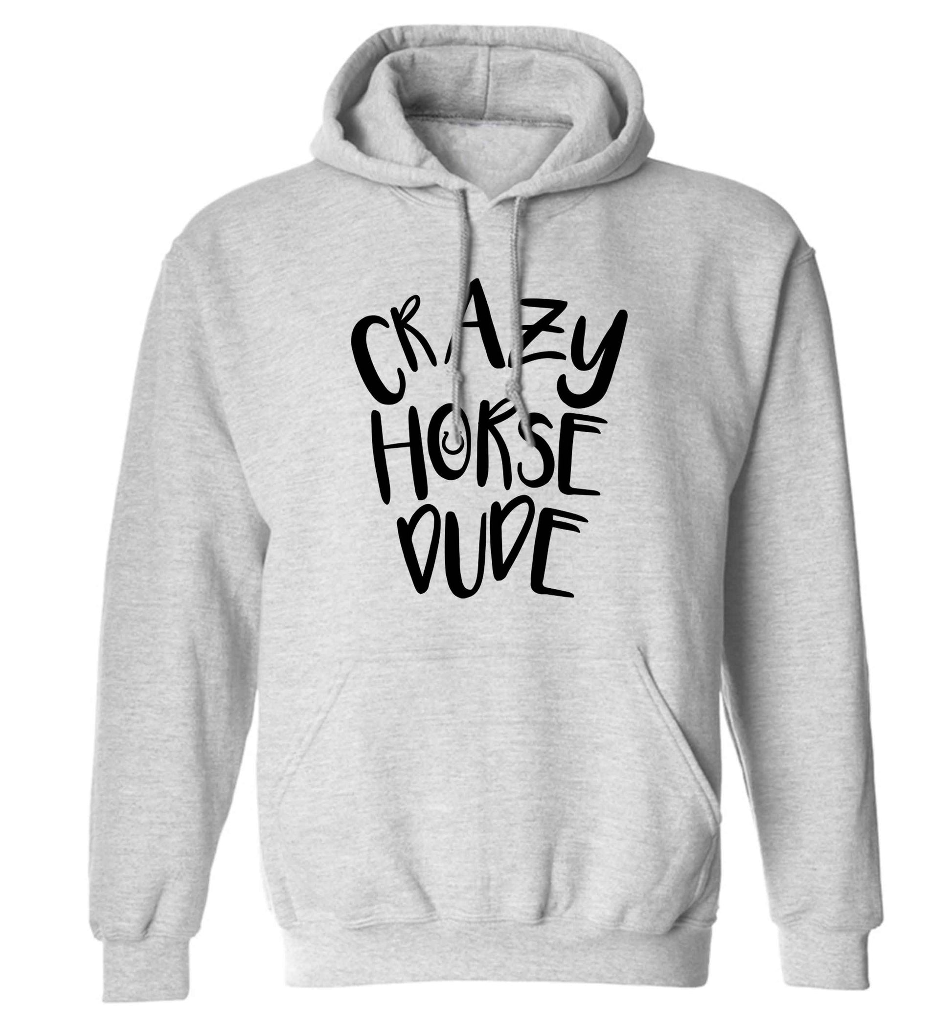 Crazy horse dude adults unisex grey hoodie 2XL