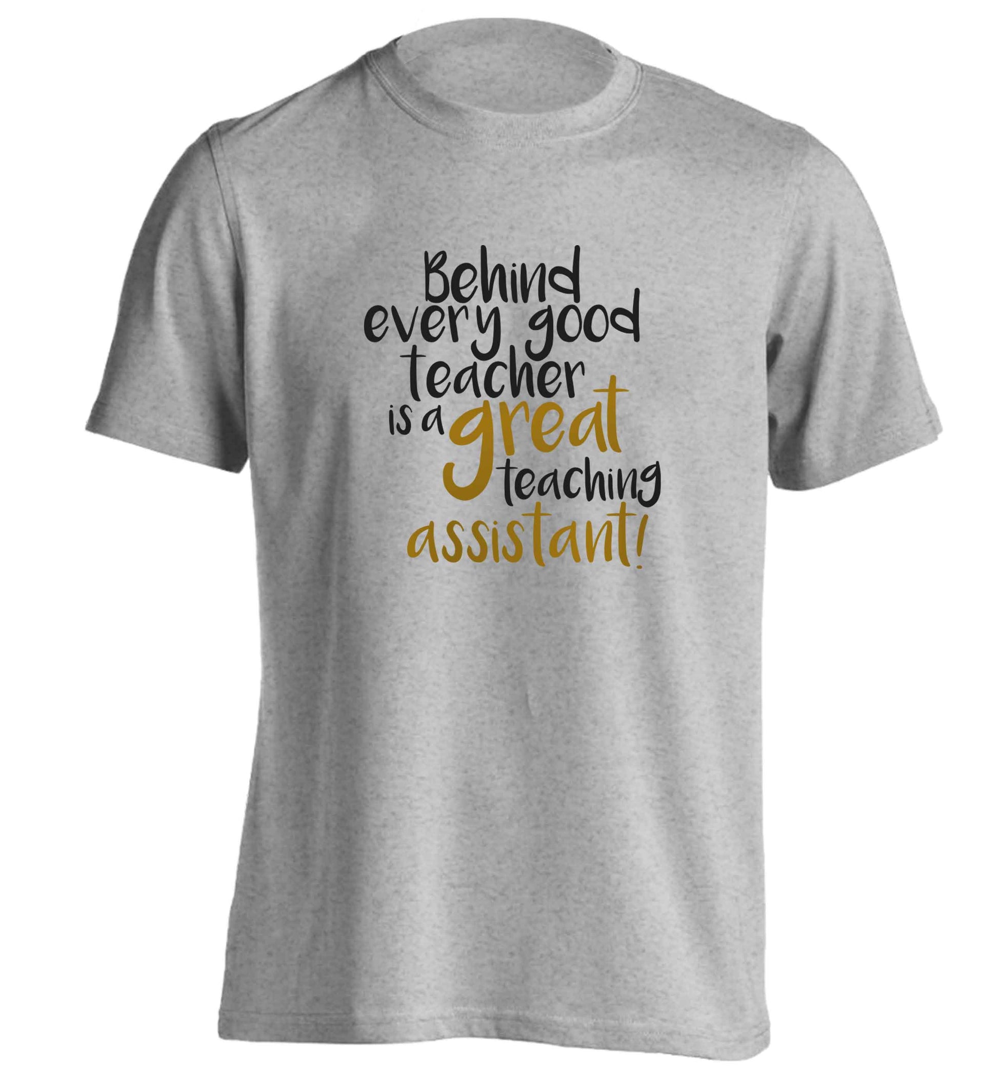 Behind every good teacher is a great teaching assistant adults unisex grey Tshirt 2XL