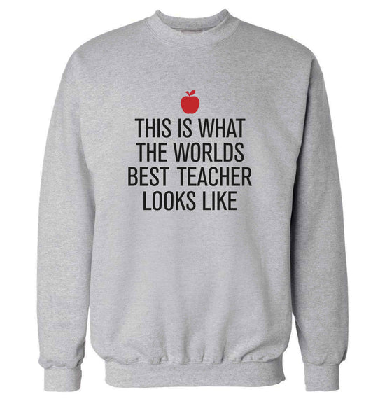 This is what the worlds best teacher looks like adult's unisex grey sweater 2XL