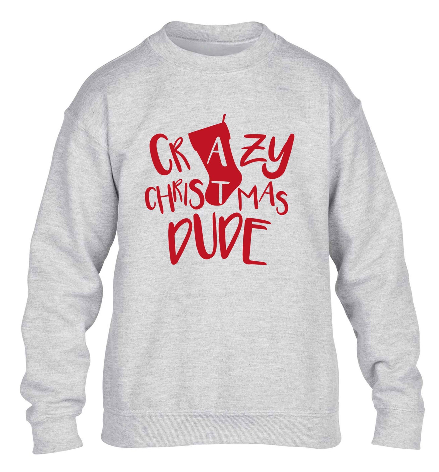 Crazy Christmas Dude children's grey sweater 12-13 Years