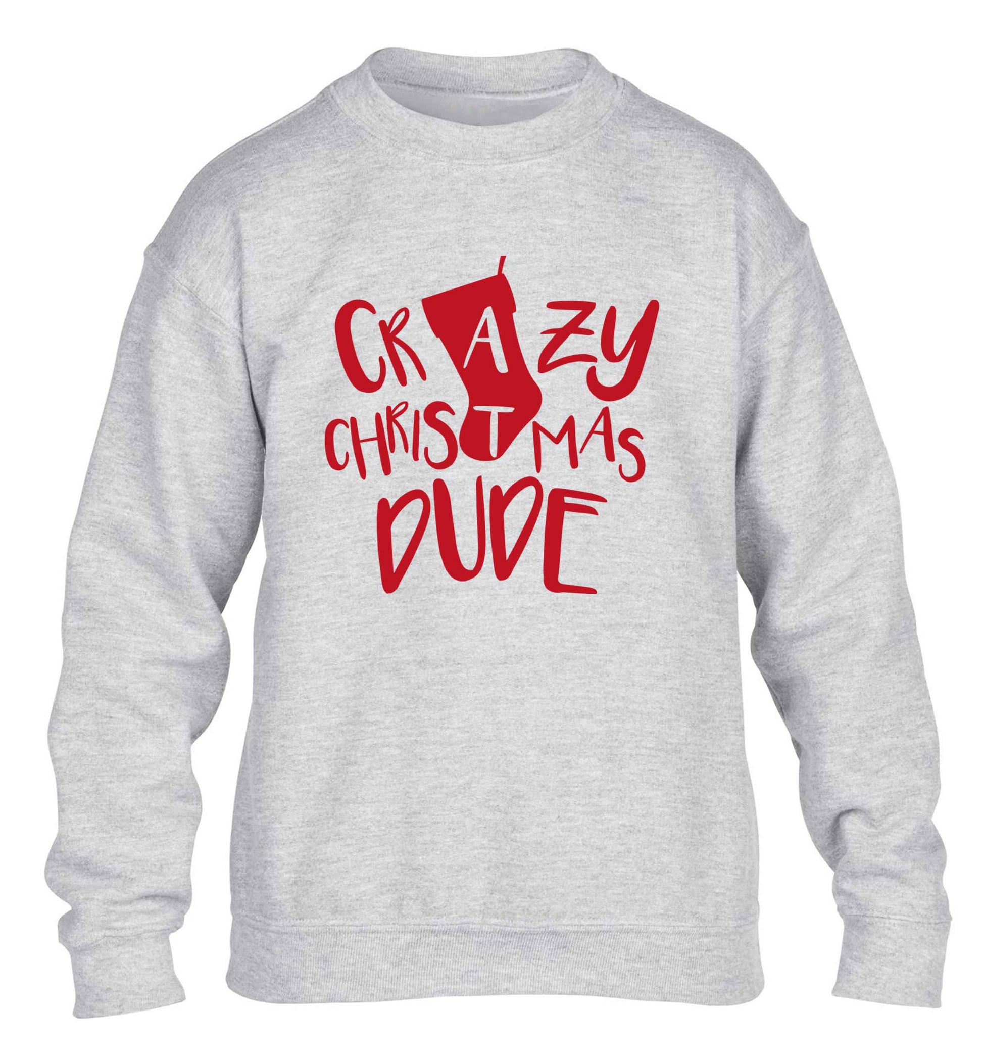Crazy Christmas Dude children's grey sweater 12-13 Years