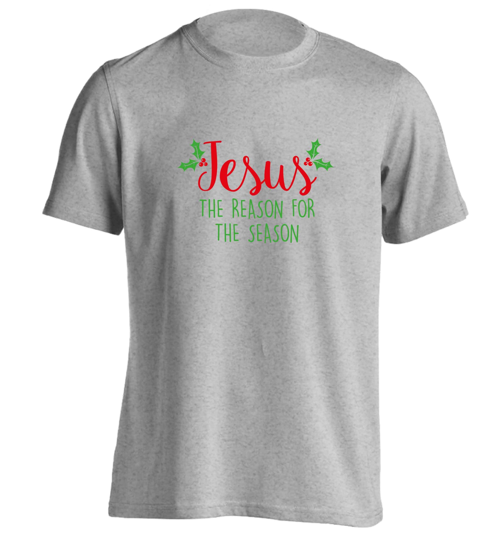 Jesus the reason for the season adults unisex grey Tshirt 2XL