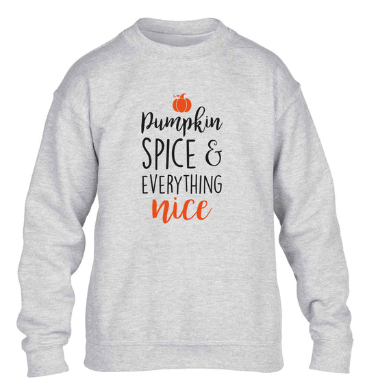 Pumpkin Spice Nice children's grey sweater 12-13 Years
