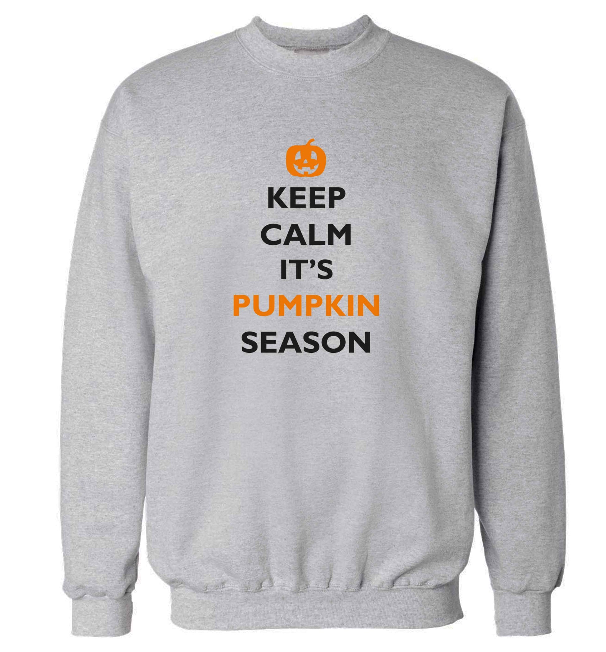 Calm Pumpkin Season adult's unisex grey sweater 2XL