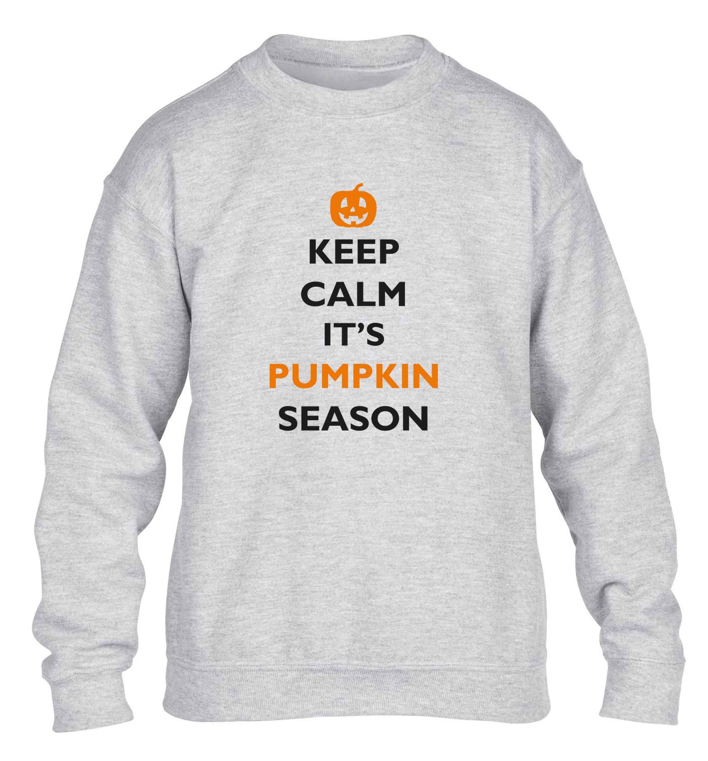 Calm Pumpkin Season children's grey sweater 12-13 Years