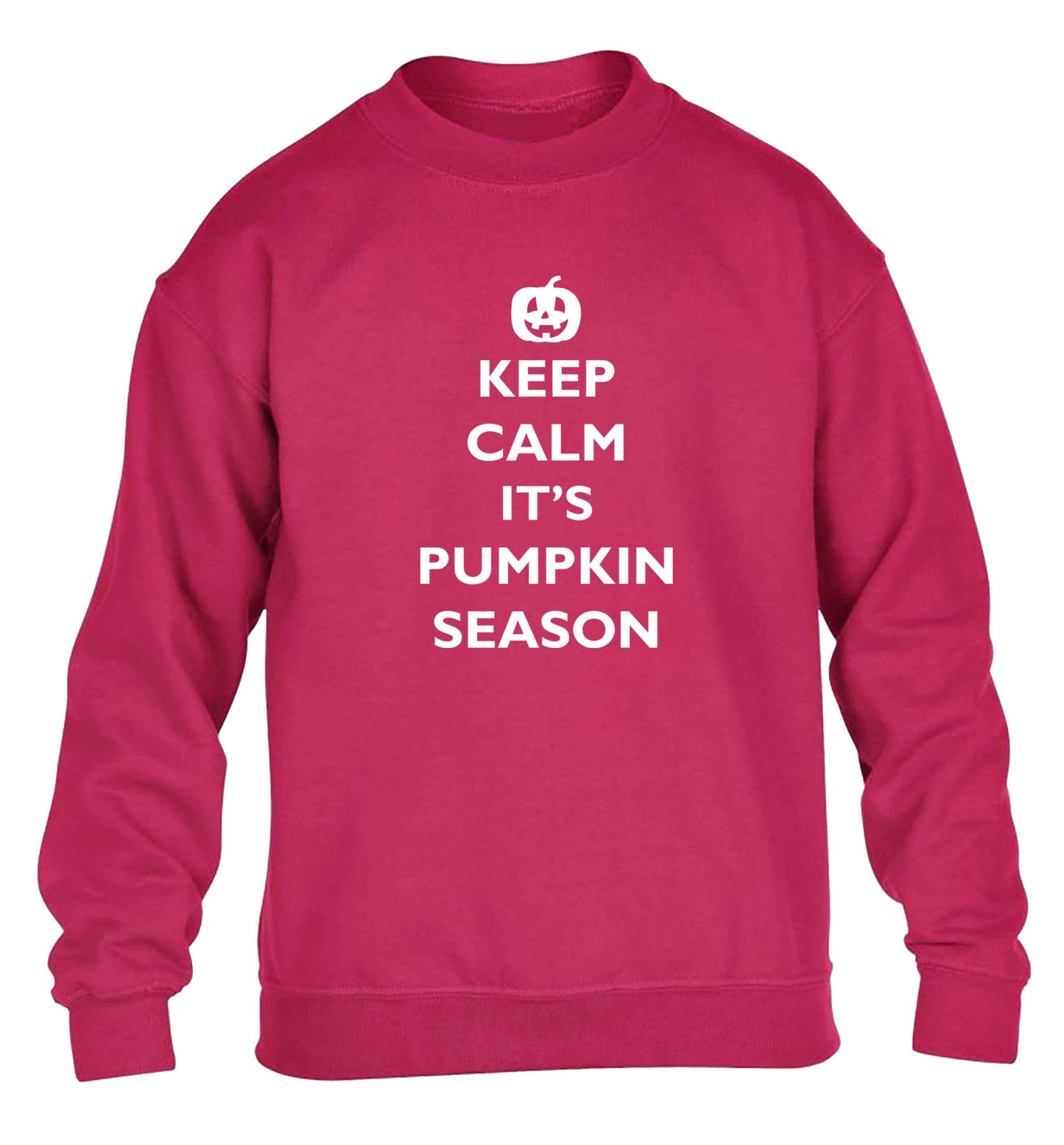 Calm Pumpkin Season children's pink sweater 12-13 Years