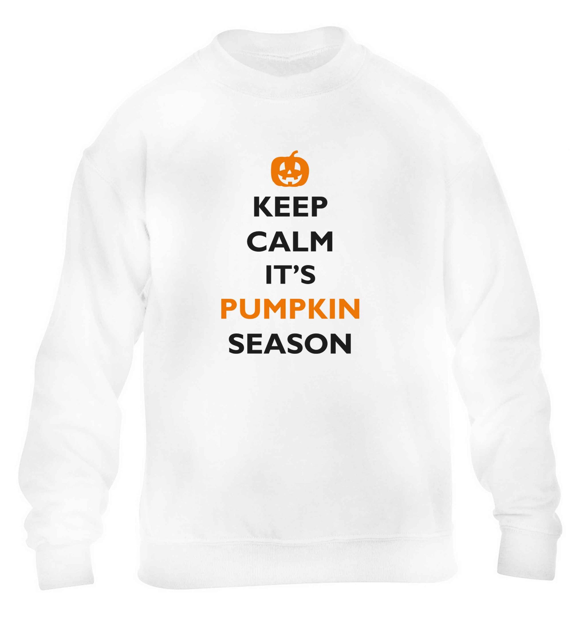 Calm Pumpkin Season children's white sweater 12-13 Years