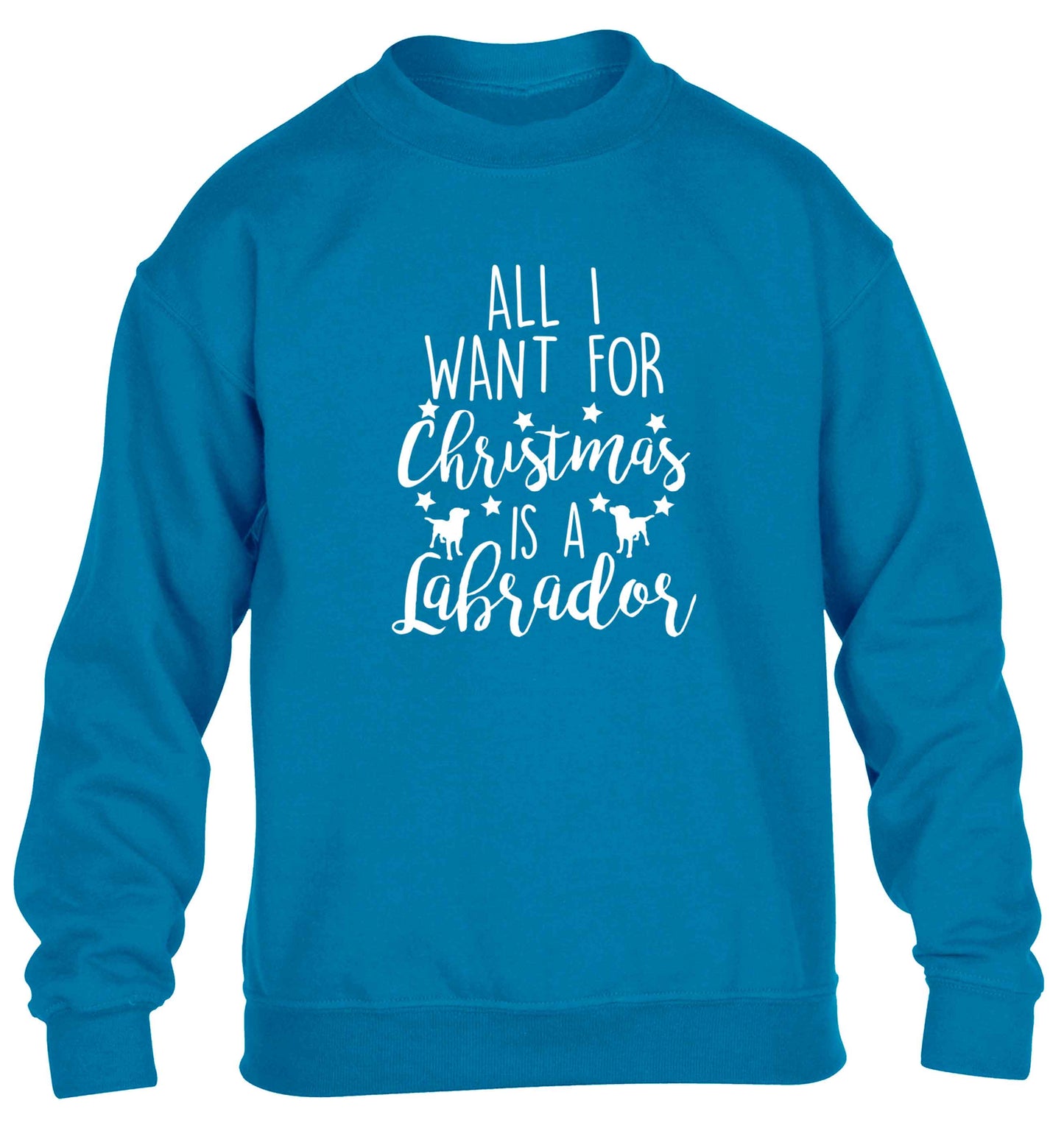 All I want for Christmas is a labrador children's blue sweater 12-13 Years
