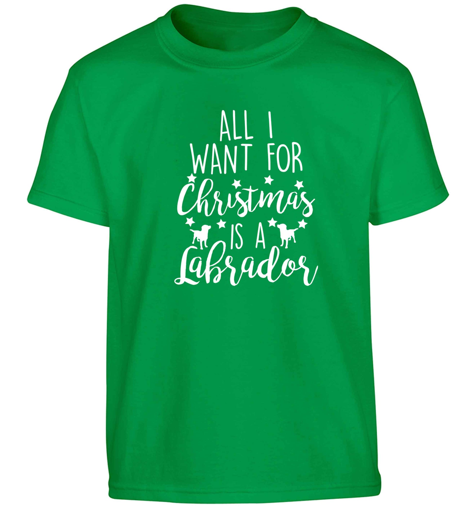 All I want for Christmas is a labrador Children's green Tshirt 12-13 Years