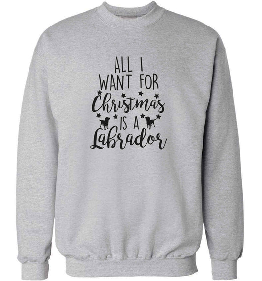 All I want for Christmas is a labrador adult's unisex grey sweater 2XL