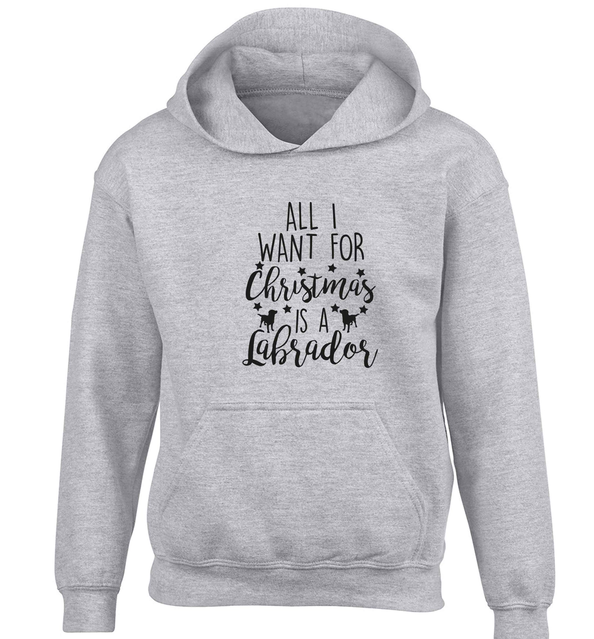 All I want for Christmas is a labrador children's grey hoodie 12-13 Years