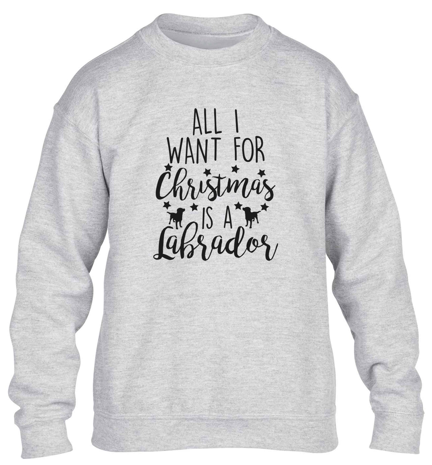 All I want for Christmas is a labrador children's grey sweater 12-13 Years