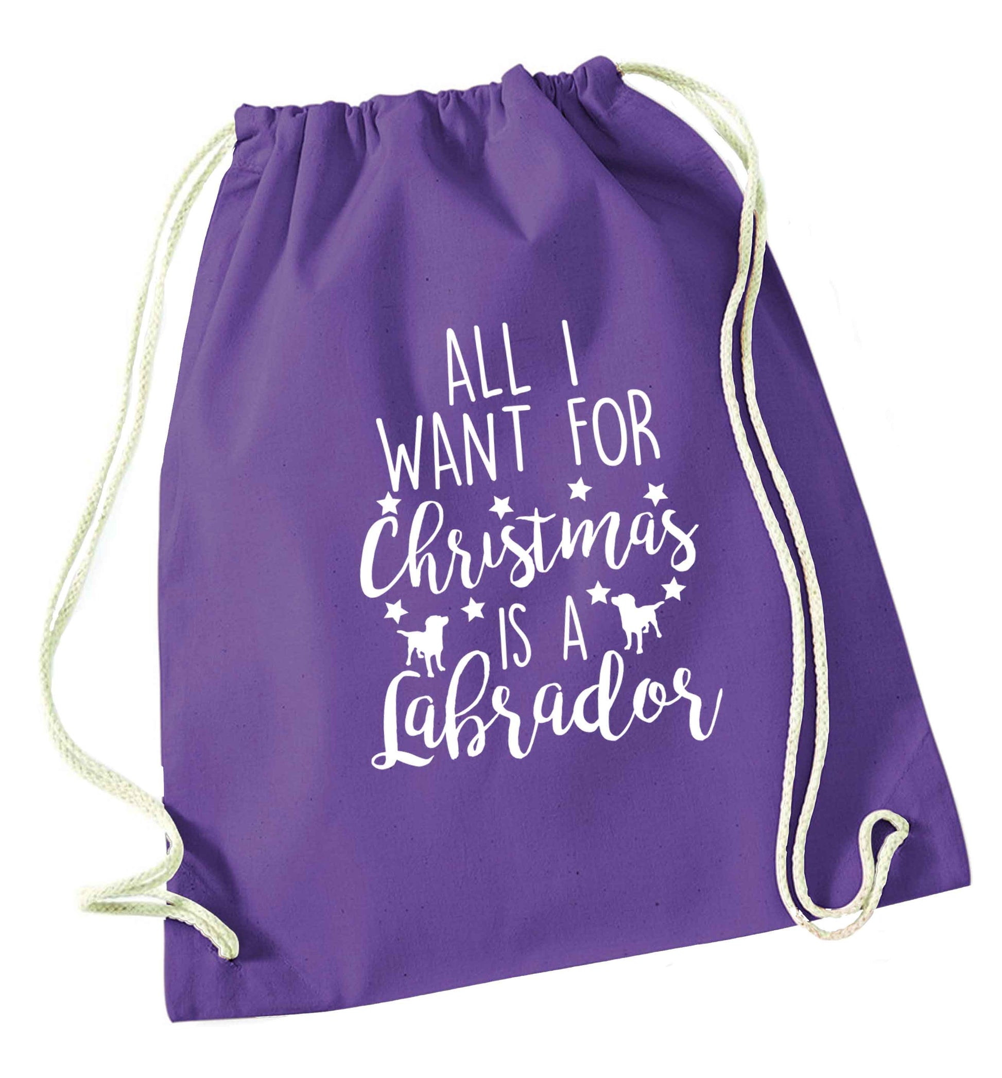 All I want for Christmas is a labrador purple drawstring bag