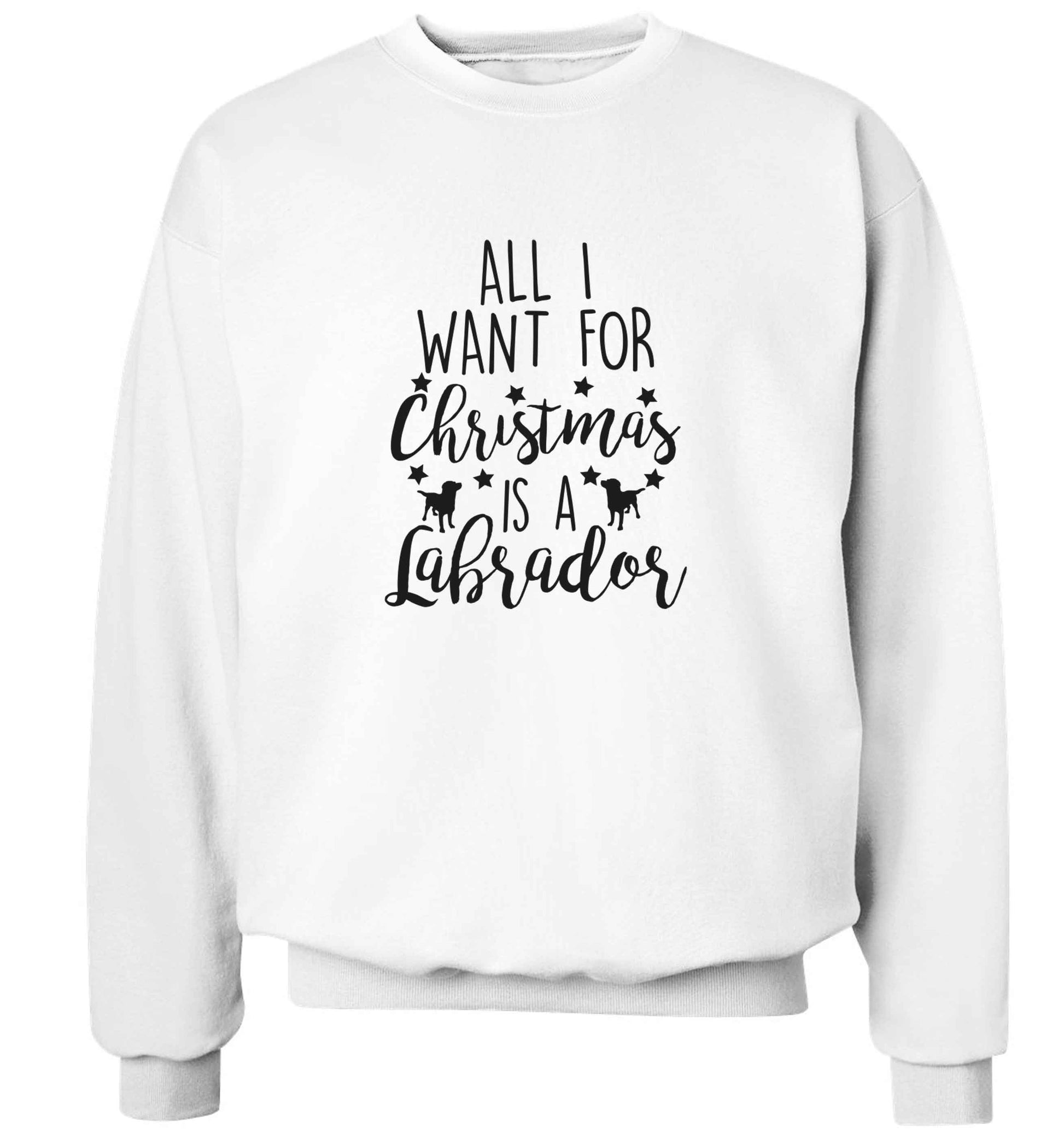 All I want for Christmas is a labrador adult's unisex white sweater 2XL