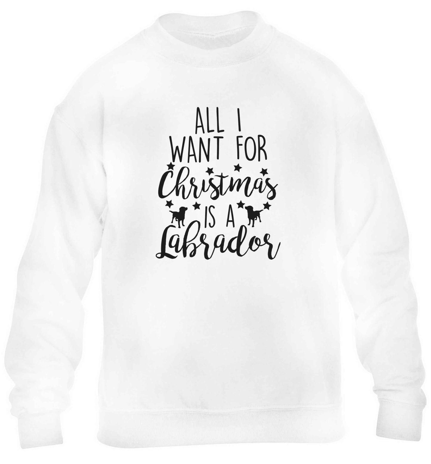 All I want for Christmas is a labrador children's white sweater 12-13 Years