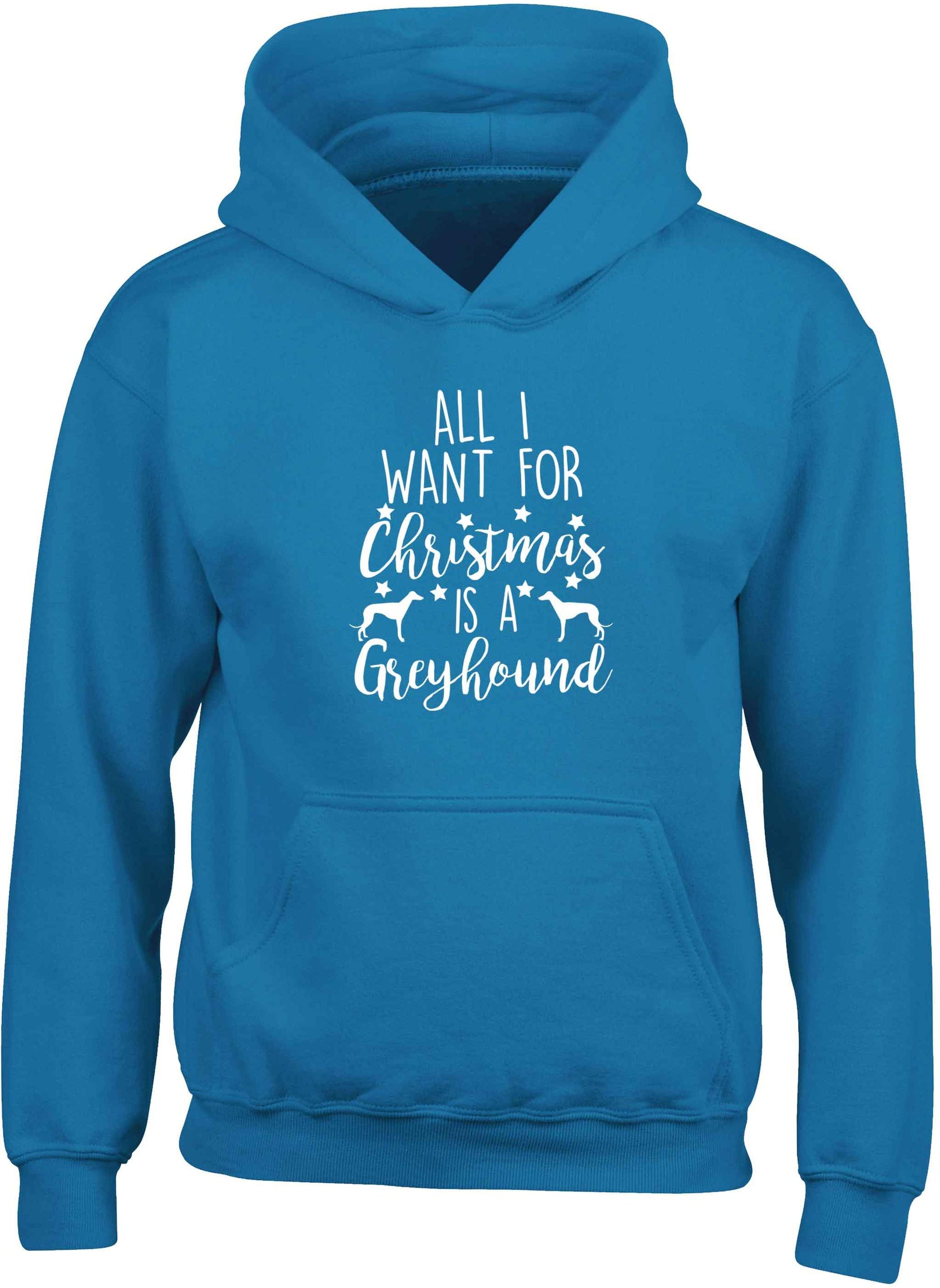 All I want for Christmas is a greyhound children's blue hoodie 12-13 Years