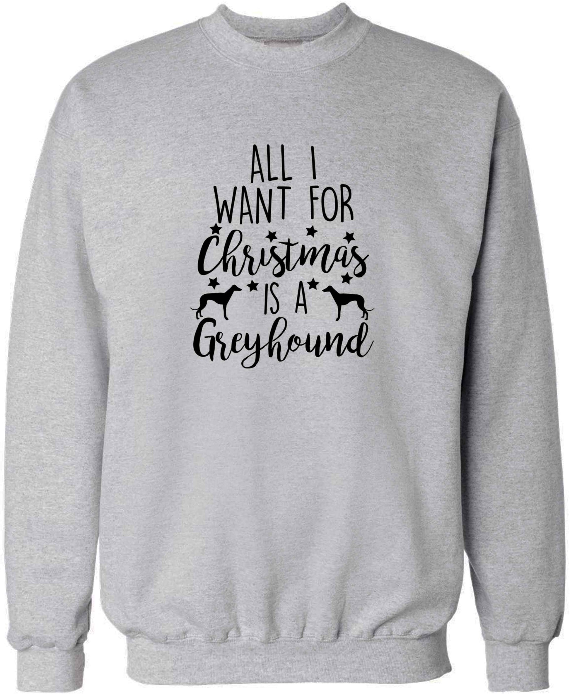 All I want for Christmas is a greyhound adult's unisex grey sweater 2XL