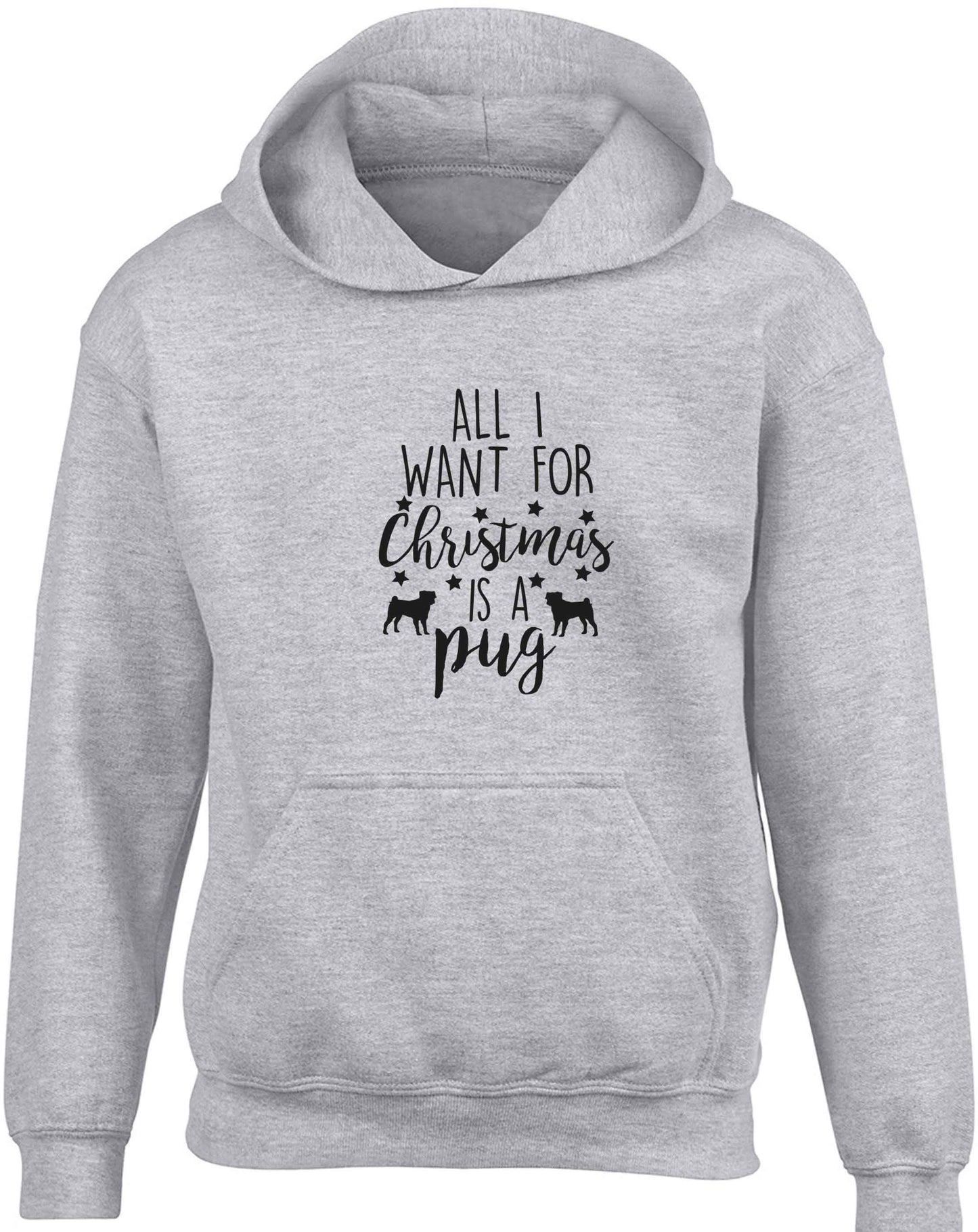 All I want for Christmas is a pug children's grey hoodie 12-13 Years