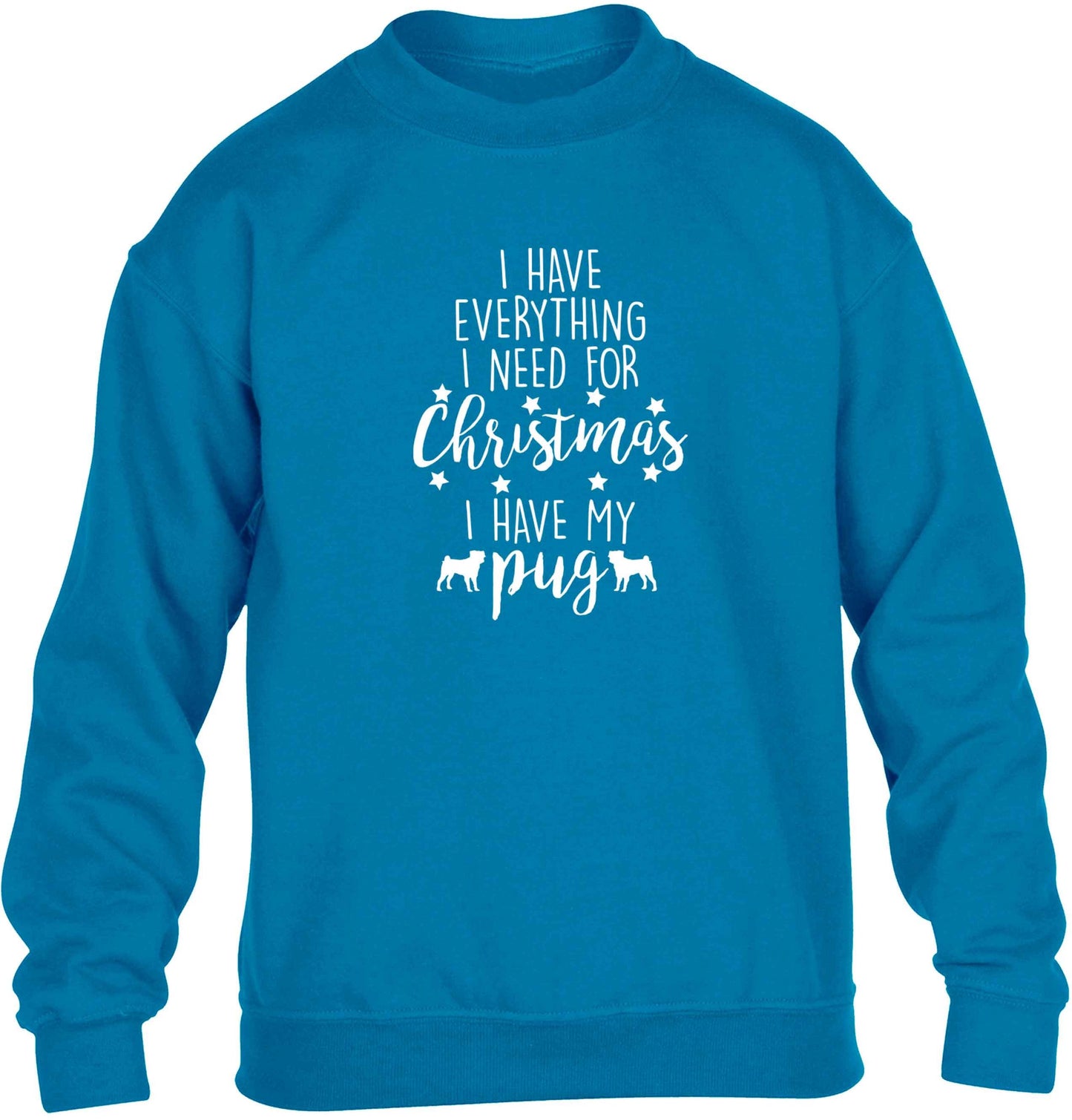 I have everything I need for Christmas I have my pug children's blue sweater 12-13 Years