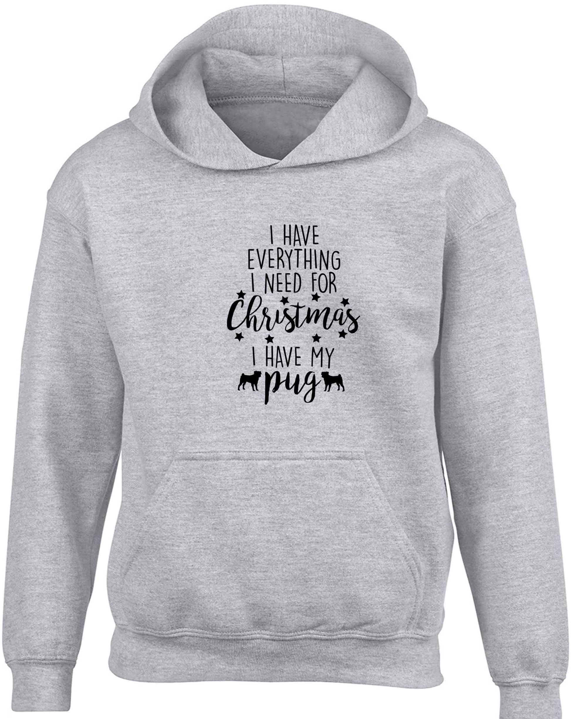 I have everything I need for Christmas I have my pug children's grey hoodie 12-13 Years