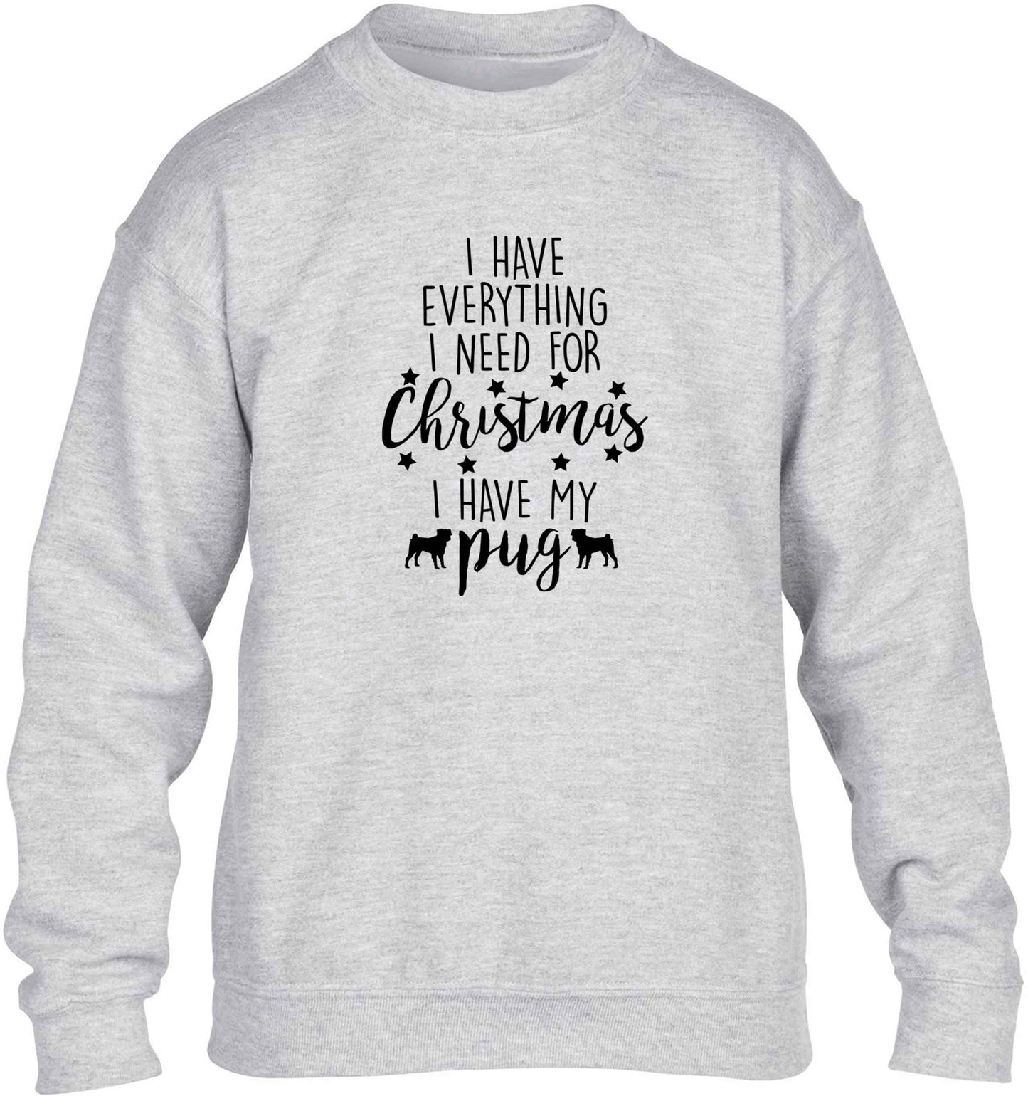 I have everything I need for Christmas I have my pug children's grey sweater 12-13 Years
