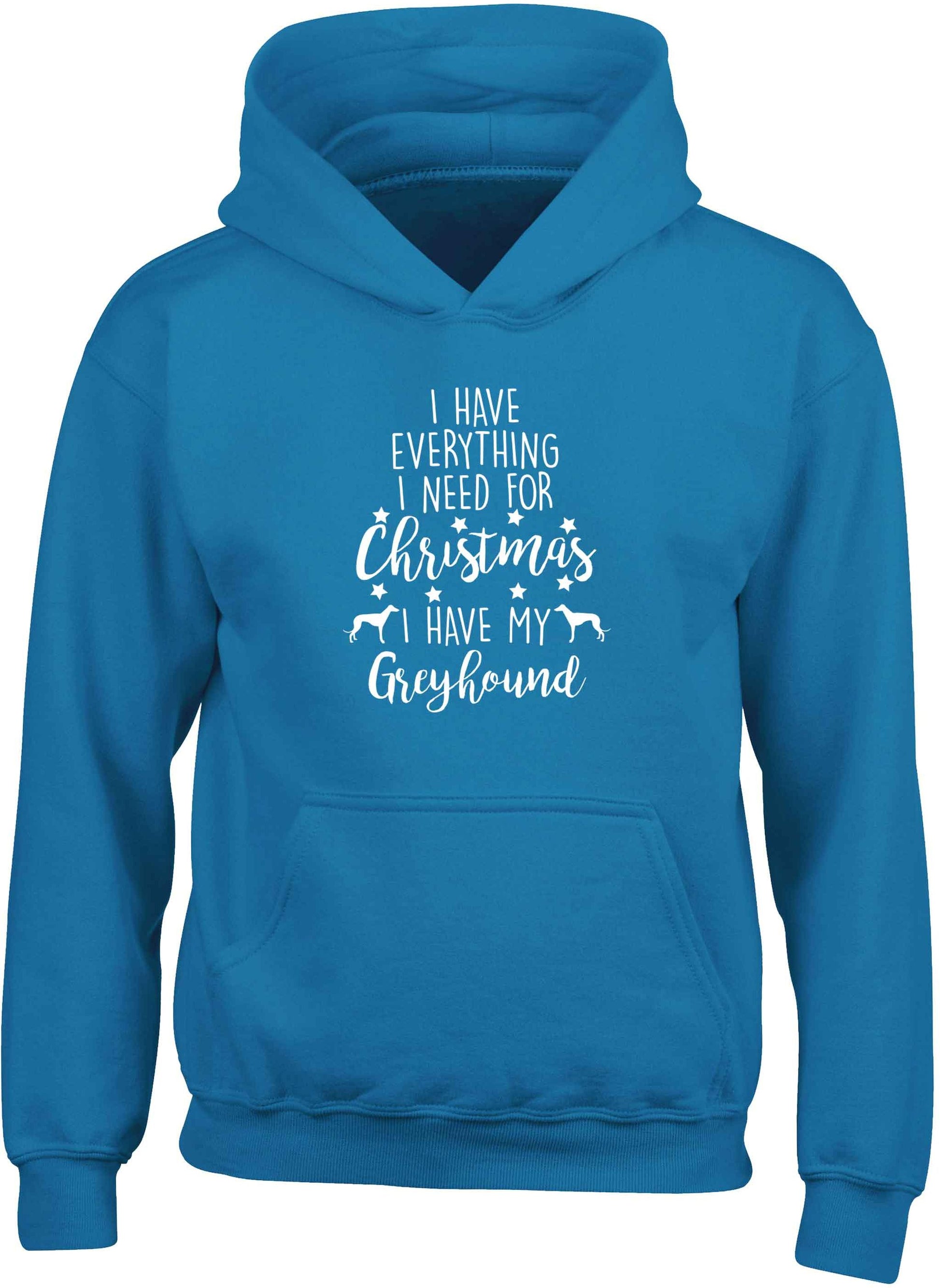 I have everything I need for Christmas I have my greyhound children's blue hoodie 12-13 Years