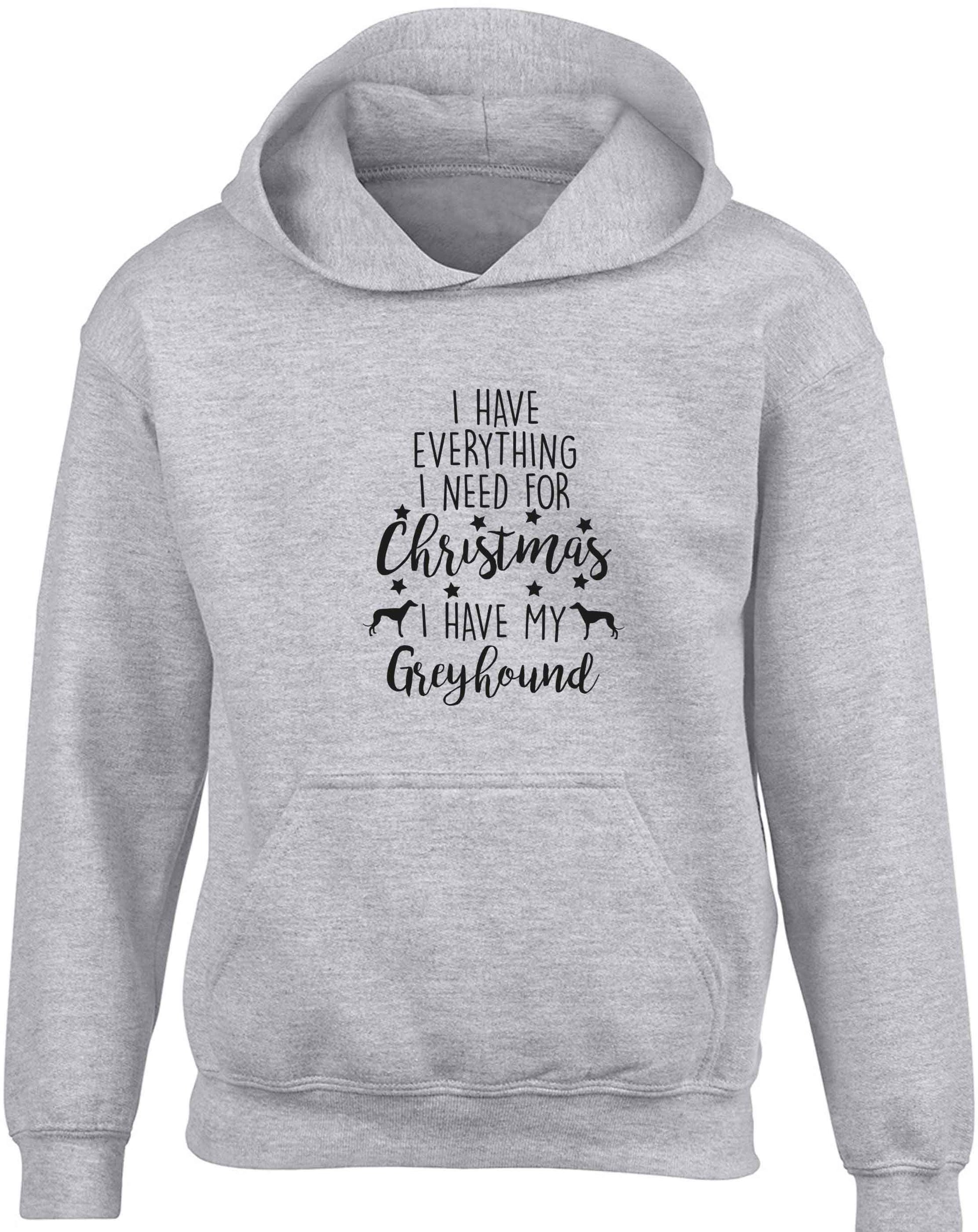 I have everything I need for Christmas I have my greyhound children's grey hoodie 12-13 Years