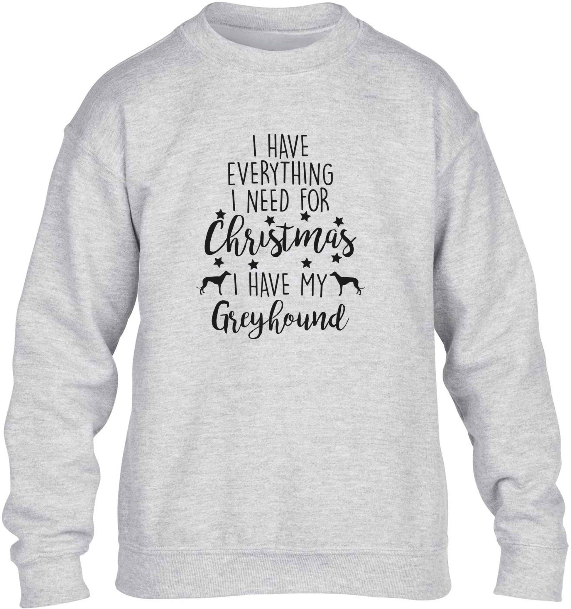 I have everything I need for Christmas I have my greyhound children's grey sweater 12-13 Years